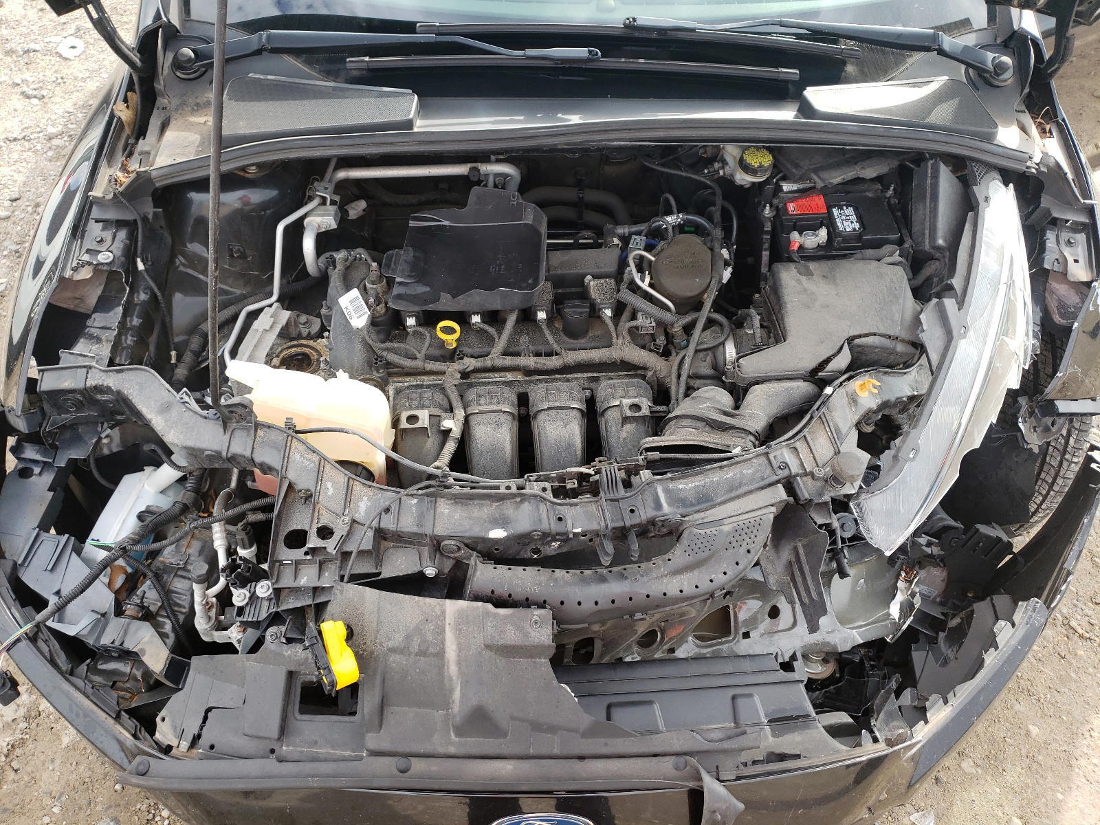 Photo 7 from auction – 2015 FORD FOCUS SE with VIN 1FADP3F23FL293297