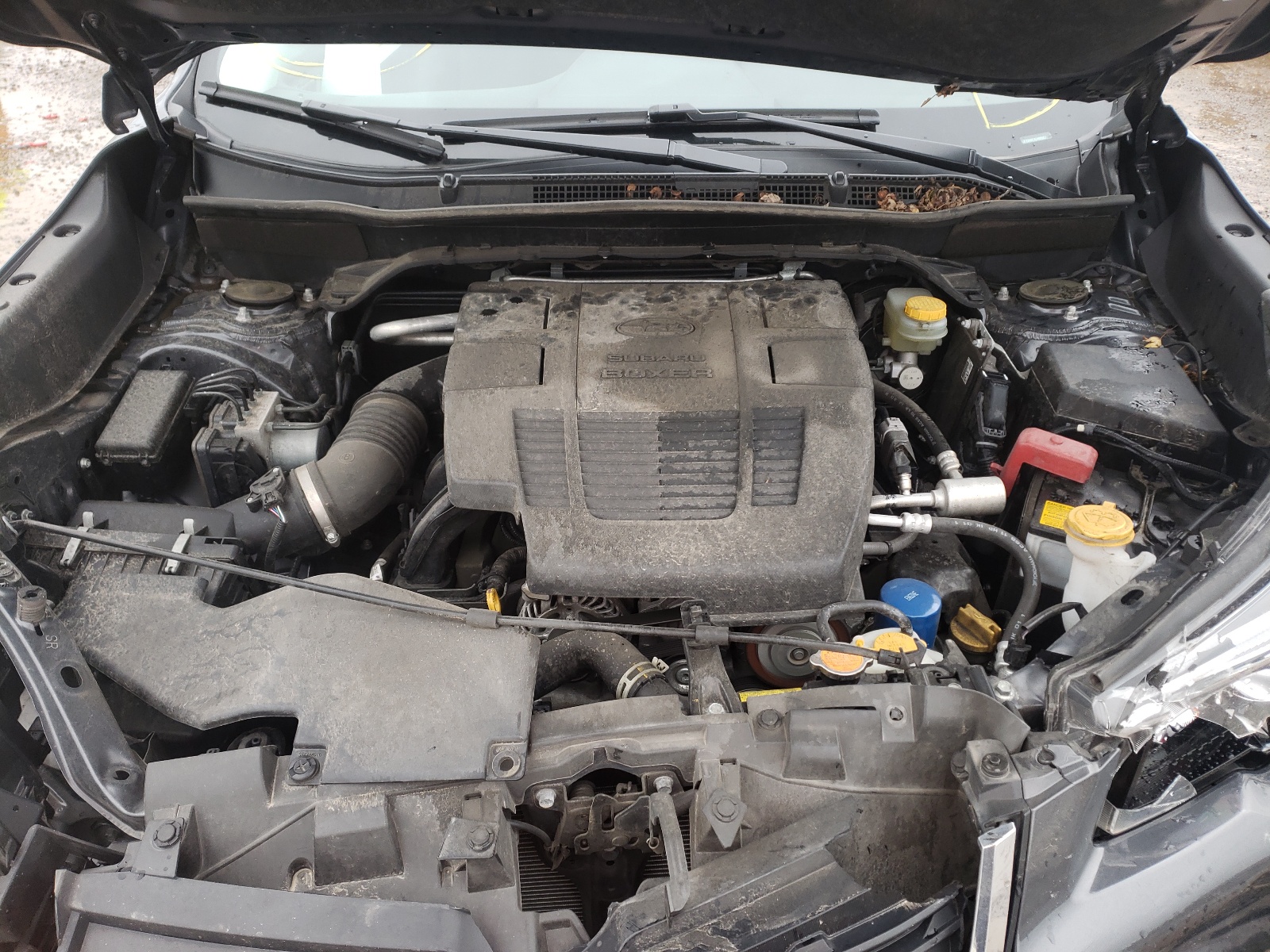 Photo 7 from auction – 2020 SUBARU FORESTER L with VIN JF2SKAUCXLH495957
