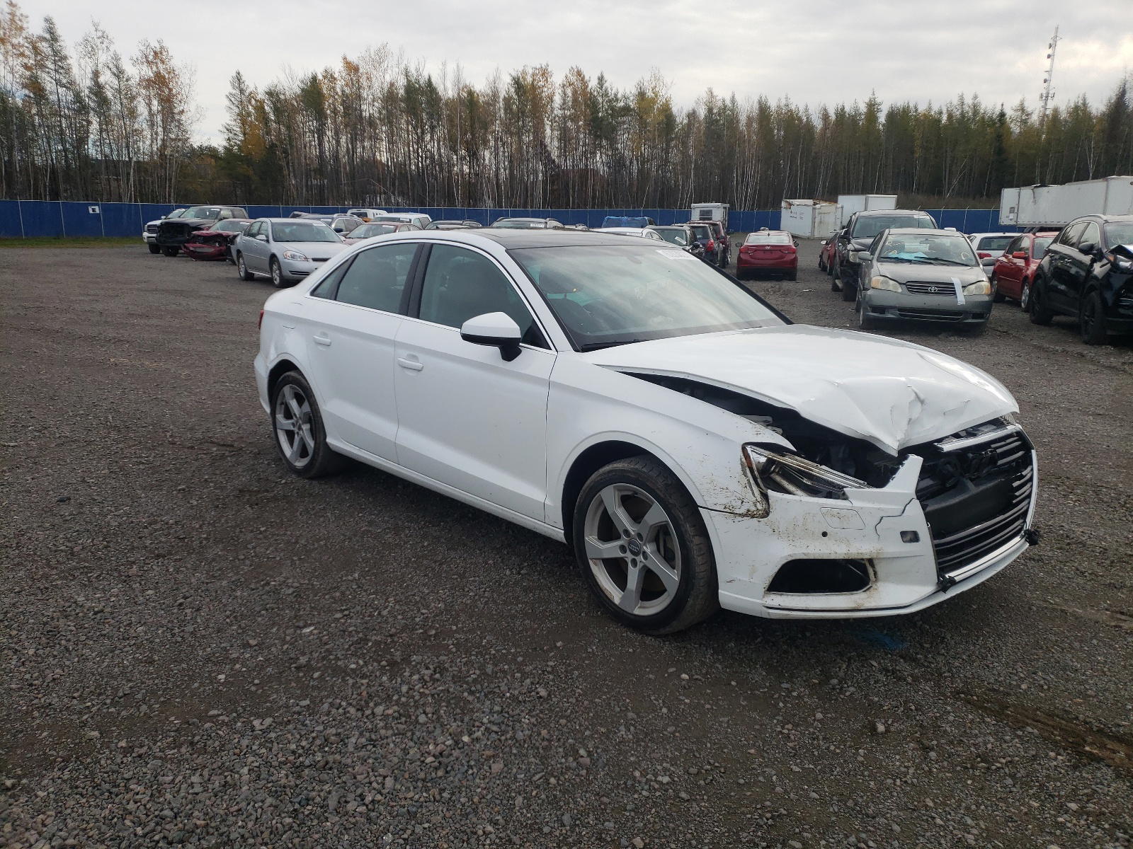 AUDI A3 PREMIUM 2019 with VIN WAUBEGFF2K1017648 - Photo from auction