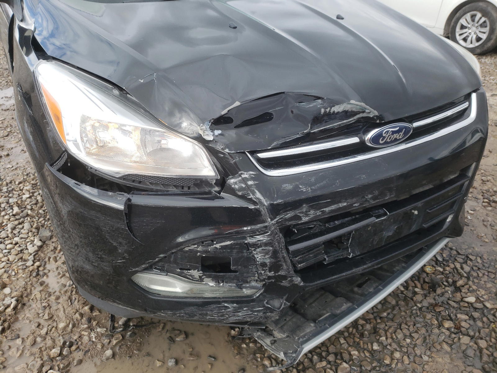 Photo 9 from auction – 2014 FORD ESCAPE TIT with VIN 1FMCU9J92EUC71530