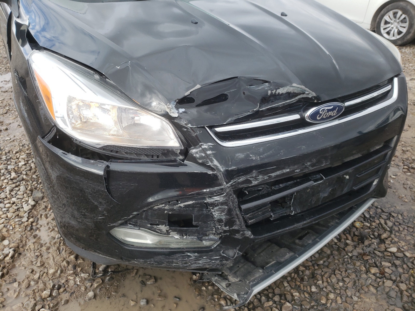 Zdjęcie 9 z aukcji – 2014 FORD ESCAPE TIT z VIN 1FMCU9J92EUC71530