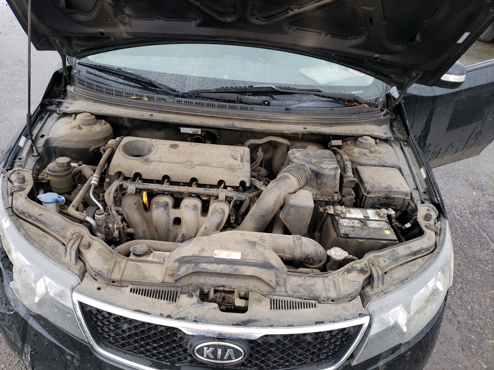 Photo 7 from auction – 2010 KIA FORTE EX with VIN KNAFU4A2XA5052615