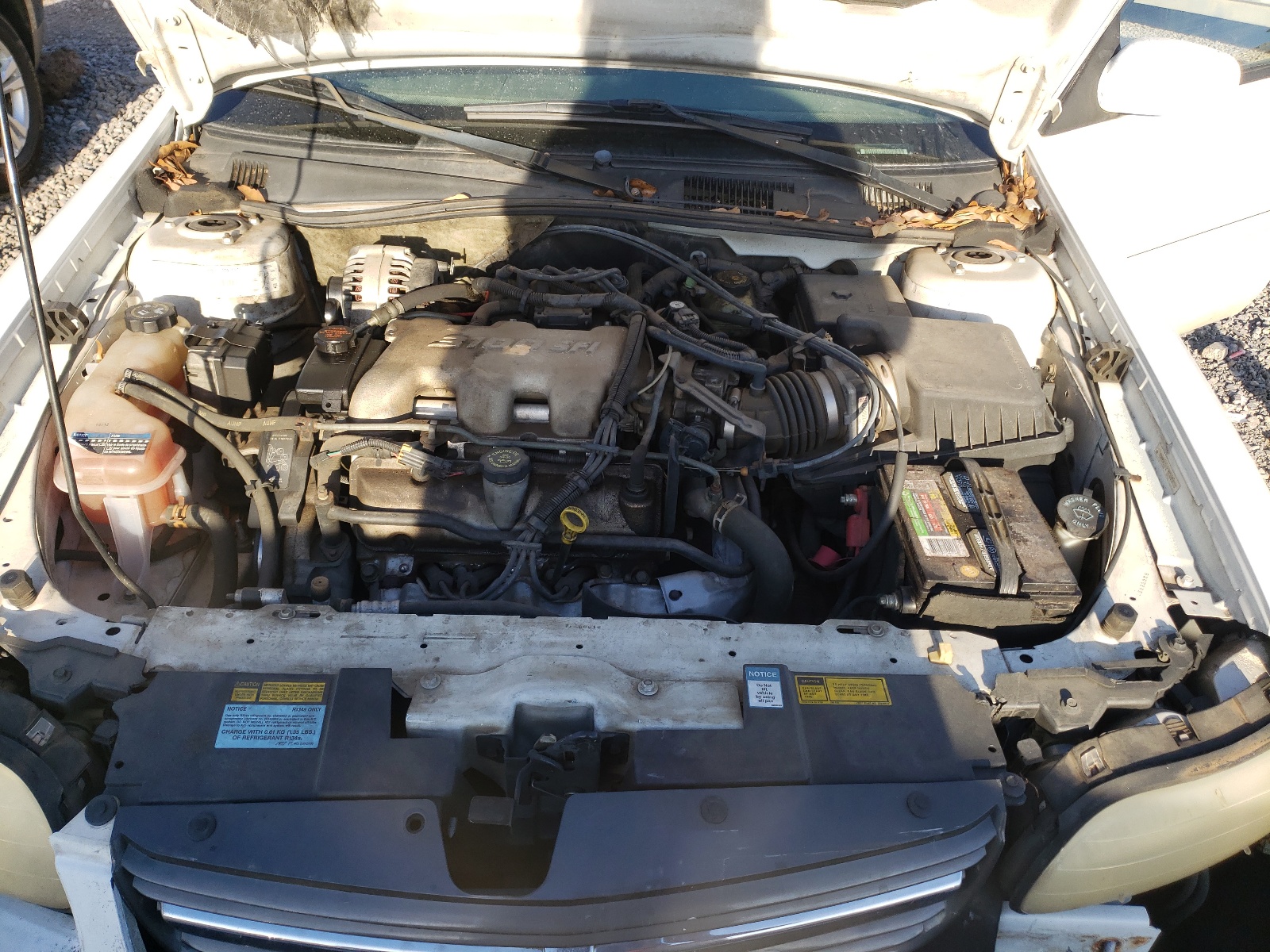 Photo 7 from auction – 2000 CHEVROLET MALIBU LS with VIN 1G1NE52J3Y6150342
