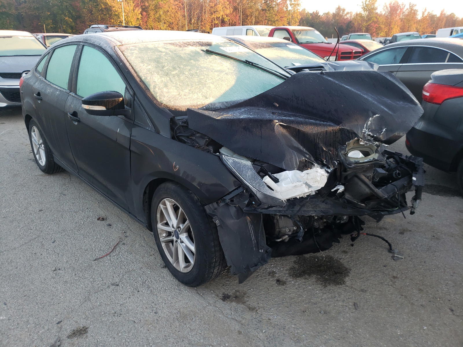 FORD FOCUS SE 2016 with VIN 1FADP3F24GL403615 - Photo from auction