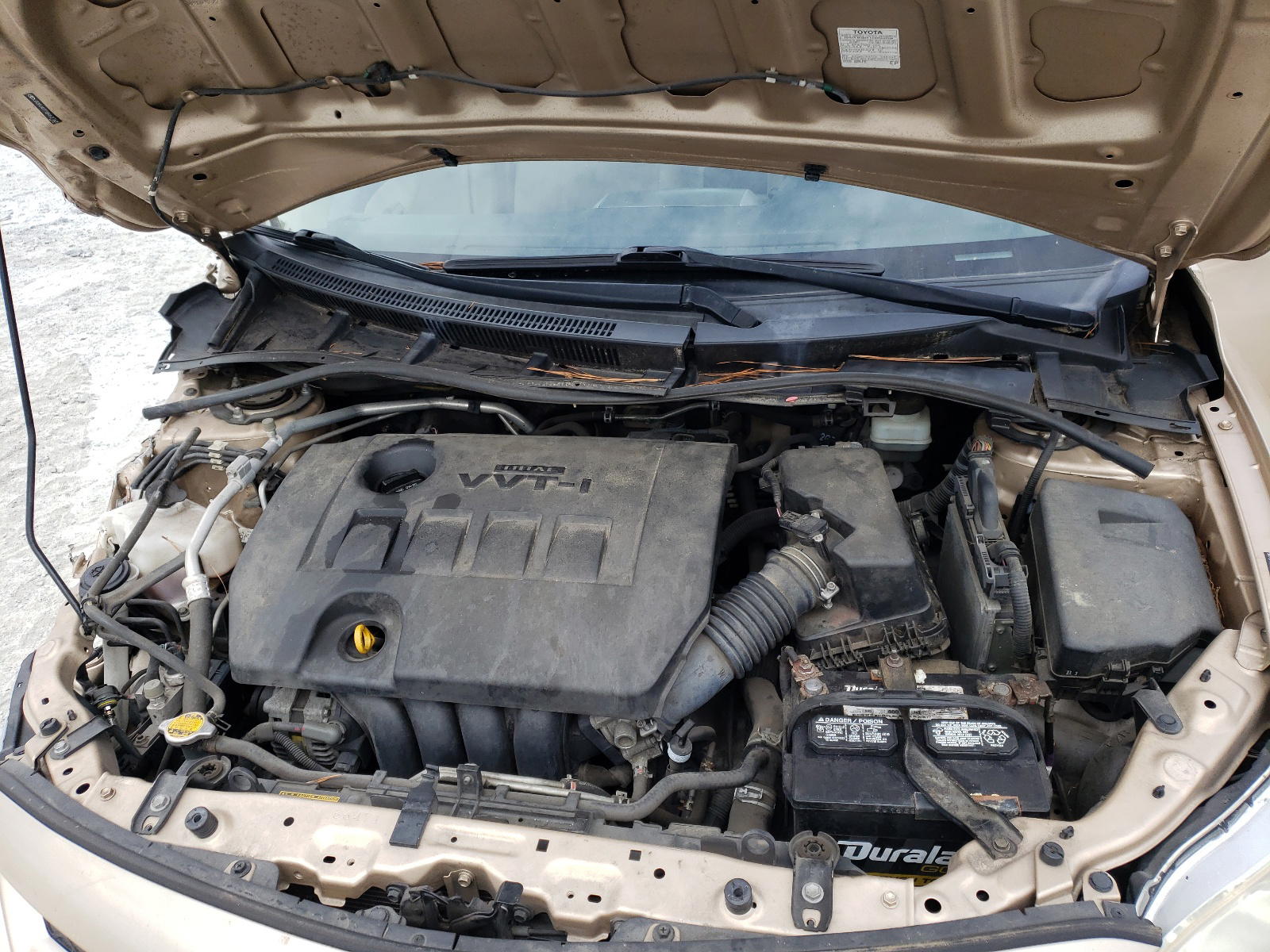 Photo 7 from auction – 2011 TOYOTA COROLLA BA with VIN JTDBU4EEXB9127605