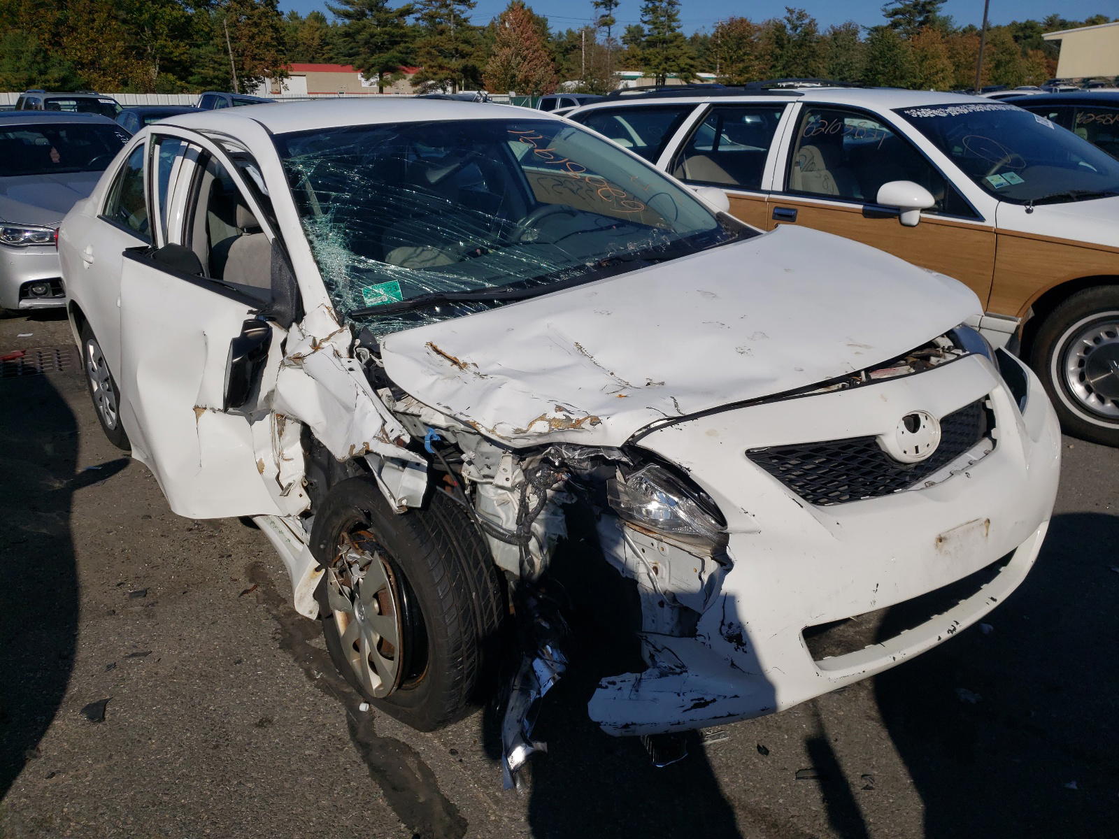 TOYOTA COROLLA BA 2009 with VIN JTDBL40E299063032 - Photo from auction