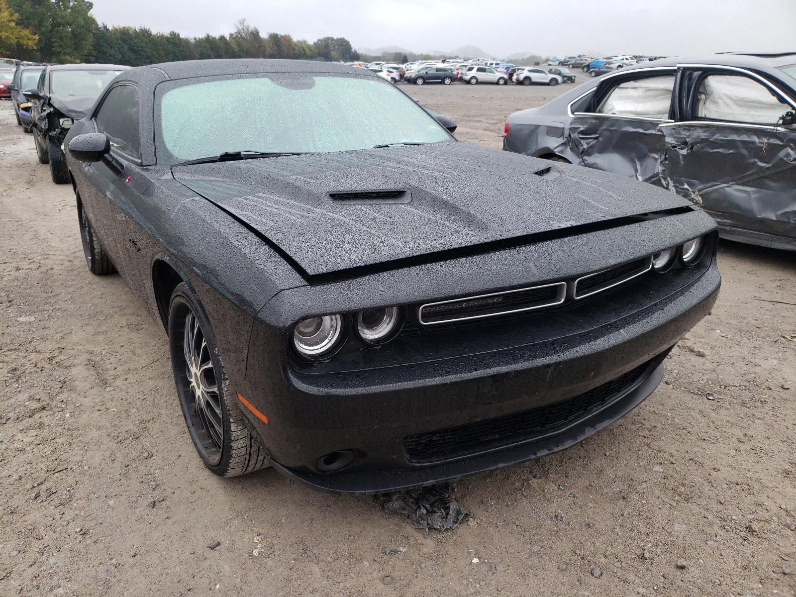DODGE CHALLENGER 2016 with VIN 2C3CDZAG1GH279955 - Photo from auction