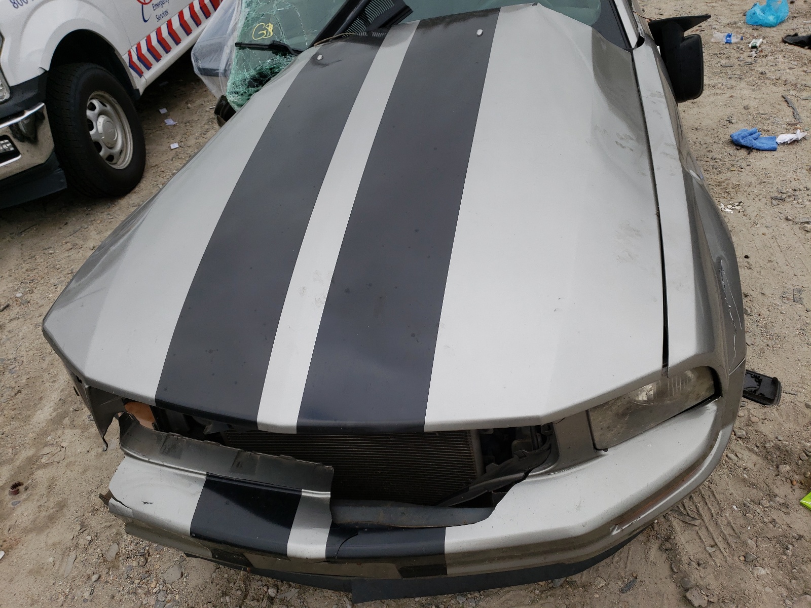 Photo 7 from auction – 2008 FORD MUSTANG with VIN 1ZVHT80N785124458