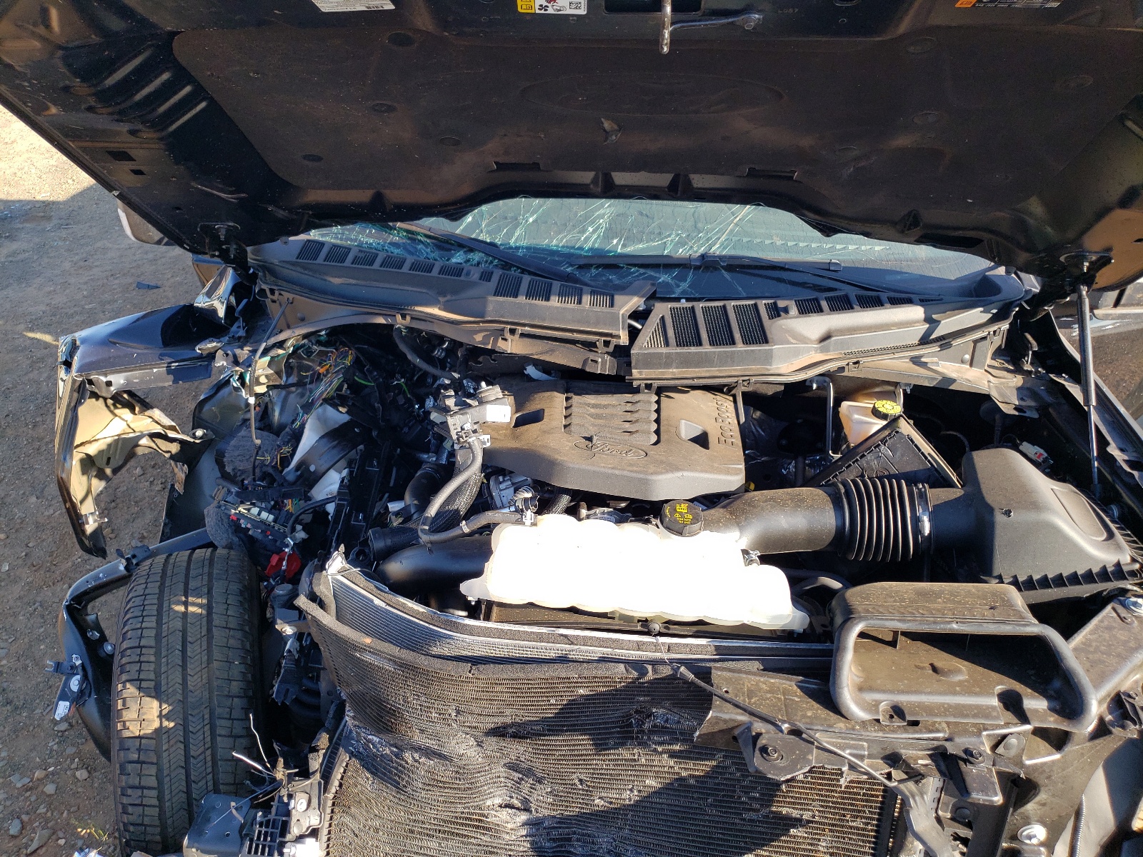 Photo 7 from auction – 2021 FORD F150 SUPER with VIN 1FTFW1E85MFC03451