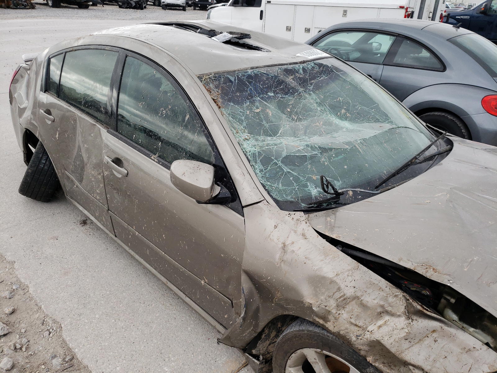 Photo 9 from auction – 2008 NISSAN MAXIMA SE with VIN 1N4BA41EX8C828208