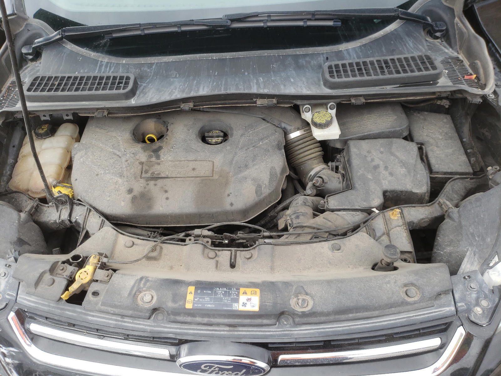 Photo 7 from auction – 2014 FORD ESCAPE TIT with VIN 1FMCU9J92EUC71530