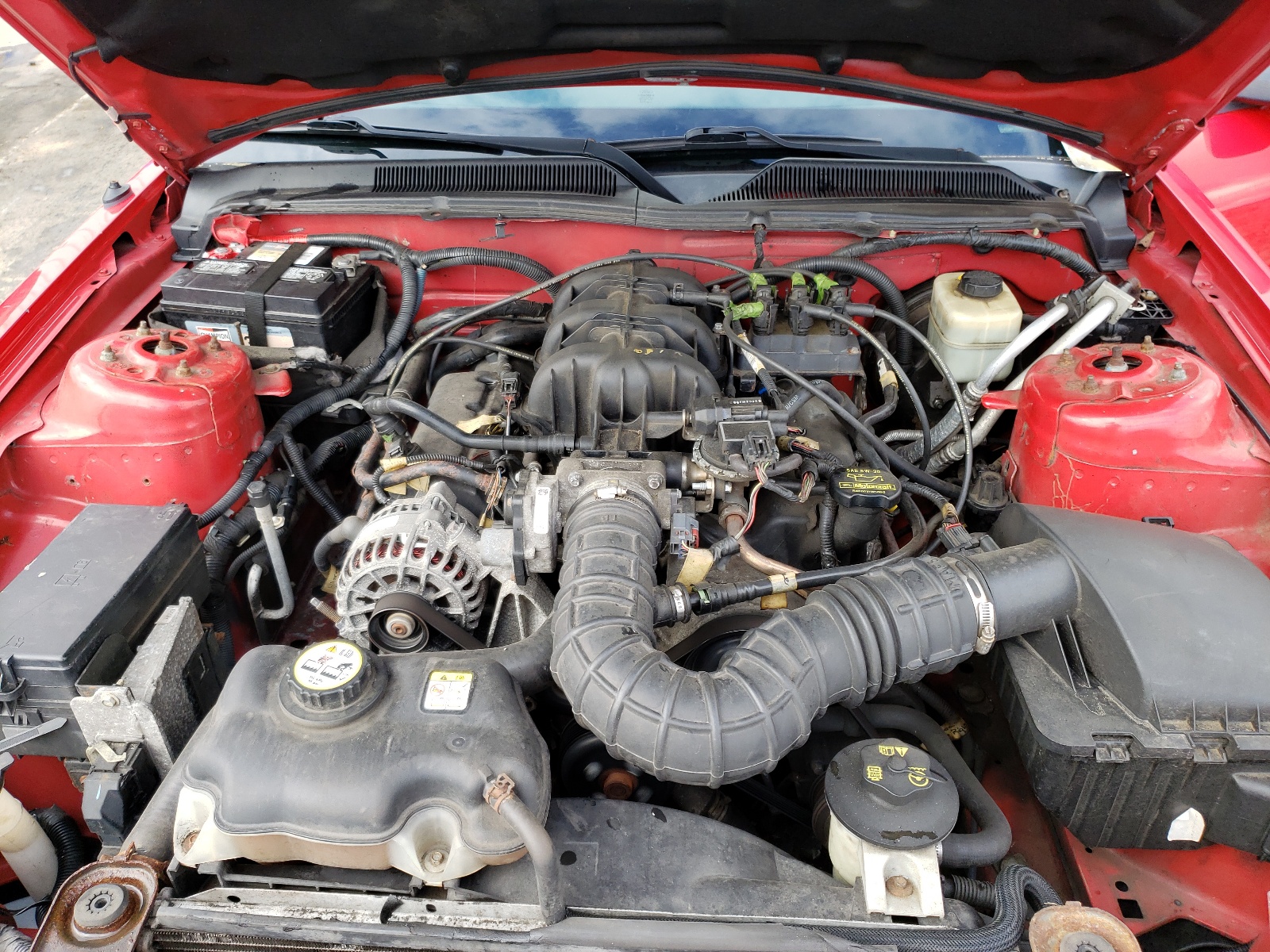 Photo 7 from auction – 2007 FORD MUSTANG with VIN 1ZVFT80N075236430