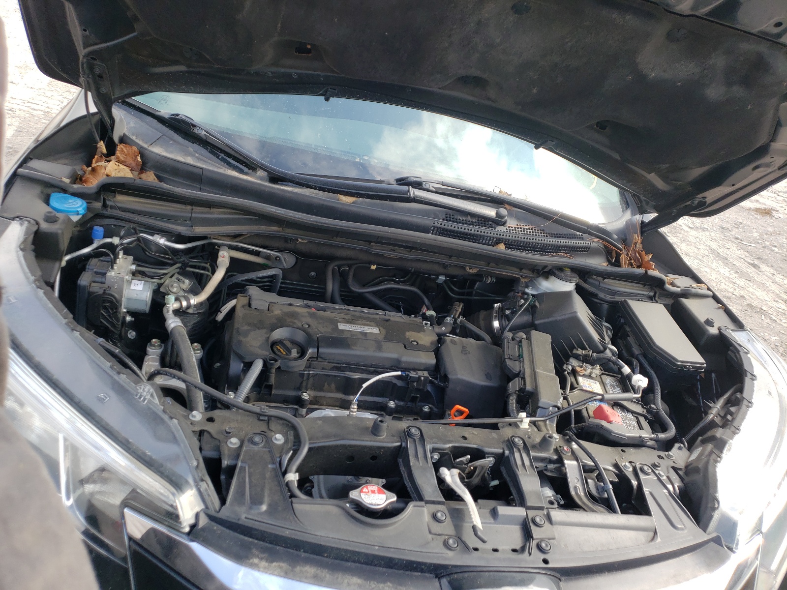 Photo 7 from auction – 2016 HONDA CR-V SE with VIN 2HKRM3H44GH551744