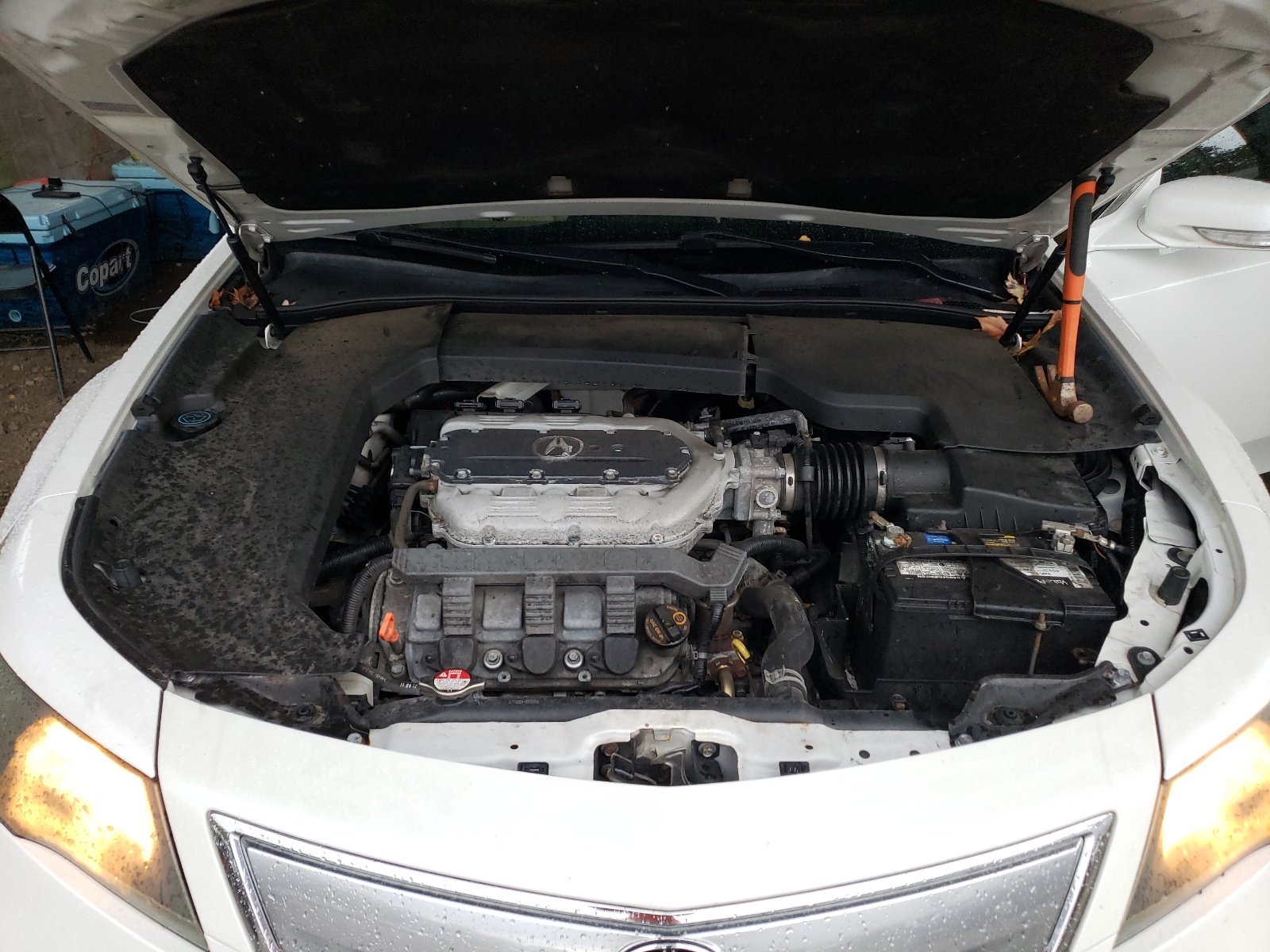 Zdjęcie 7 z aukcji – 2013 ACURA TL z VIN 19UUA8F22DA013386