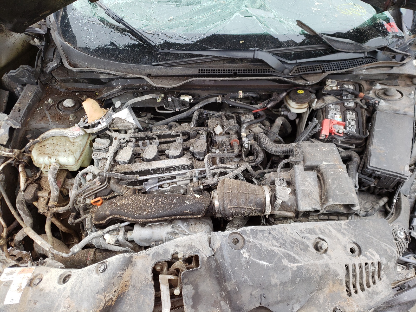 Photo 7 from auction – 2017 HONDA CIVIC EX with VIN 2HGFC1E35HH658965