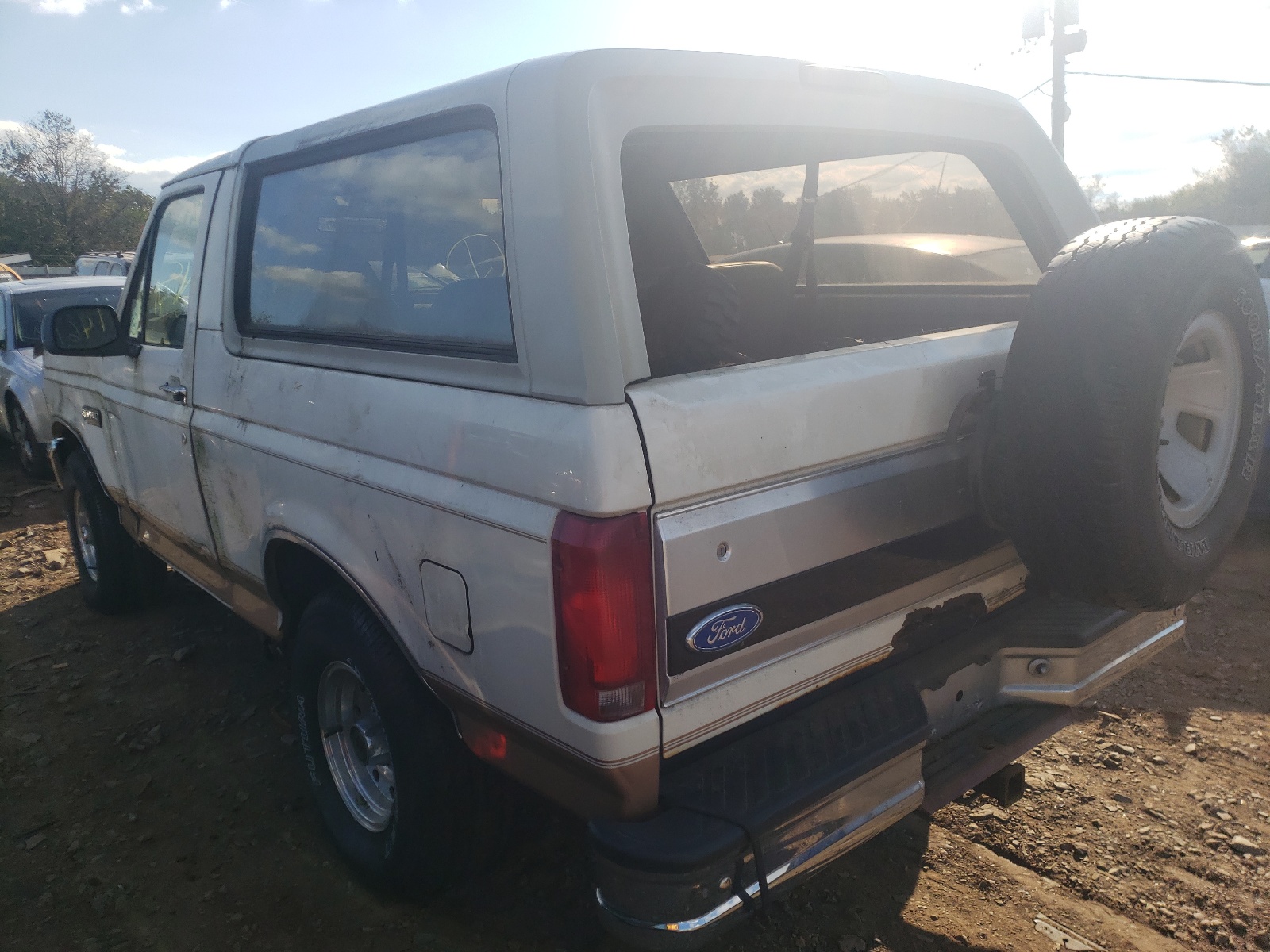 Photo 3 from auction – 1995 FORD BRONCO with VIN 1FMEU15N0SLA98190
