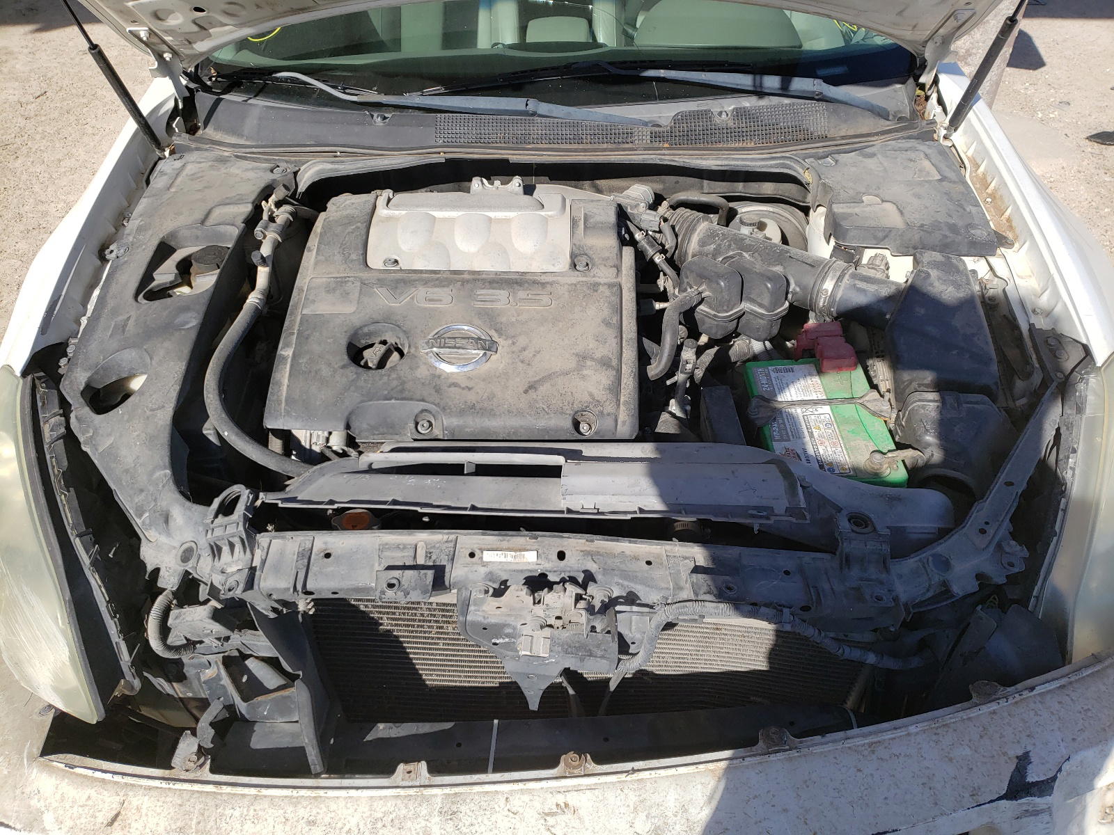 Photo 7 from auction – 2008 NISSAN MAXIMA SE with VIN 1N4BA41E28C823553