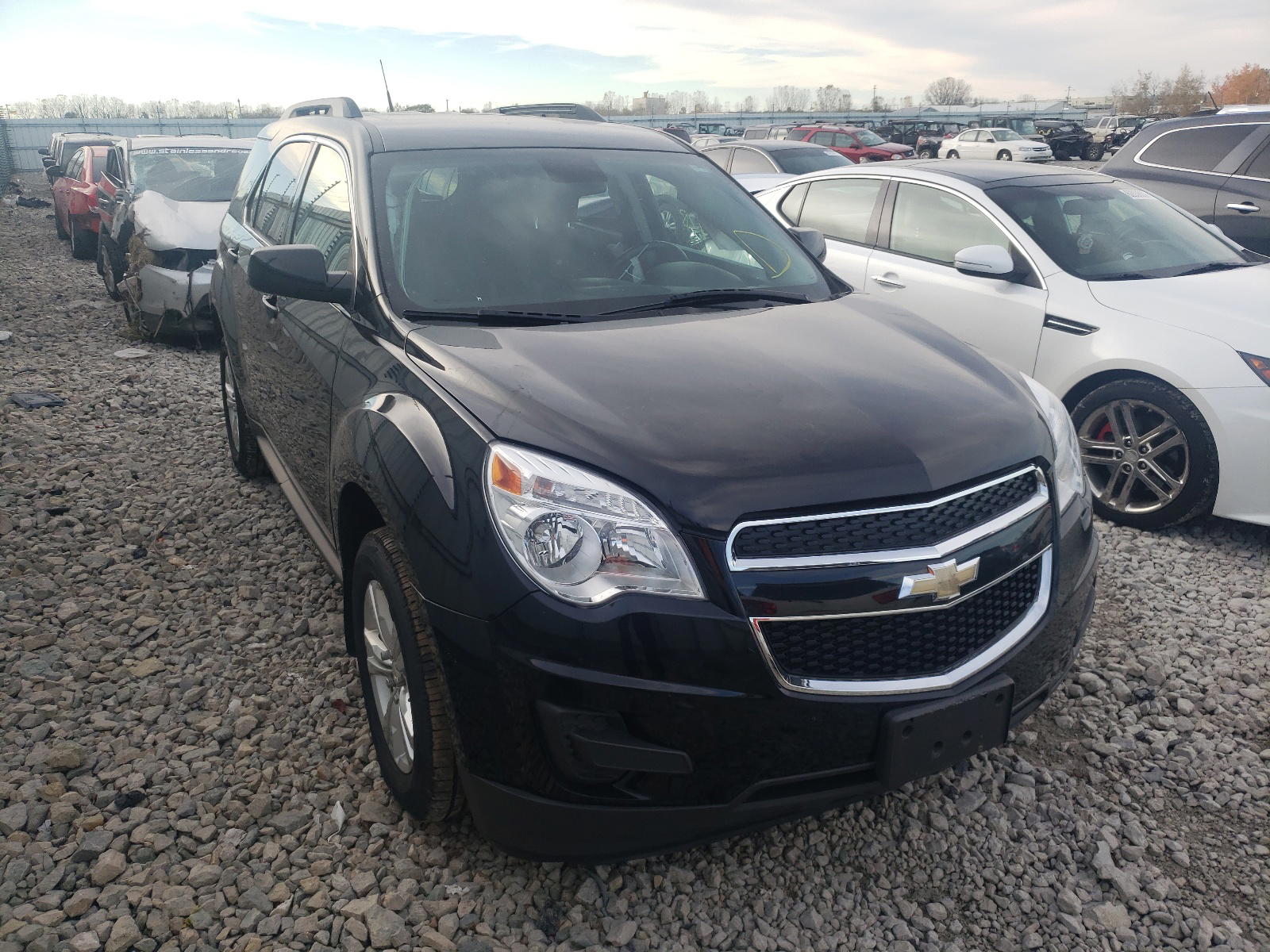 CHEVROLET EQUINOX LT 2012 with VIN 2GNFLEEK1C6365654 - Photo from auction