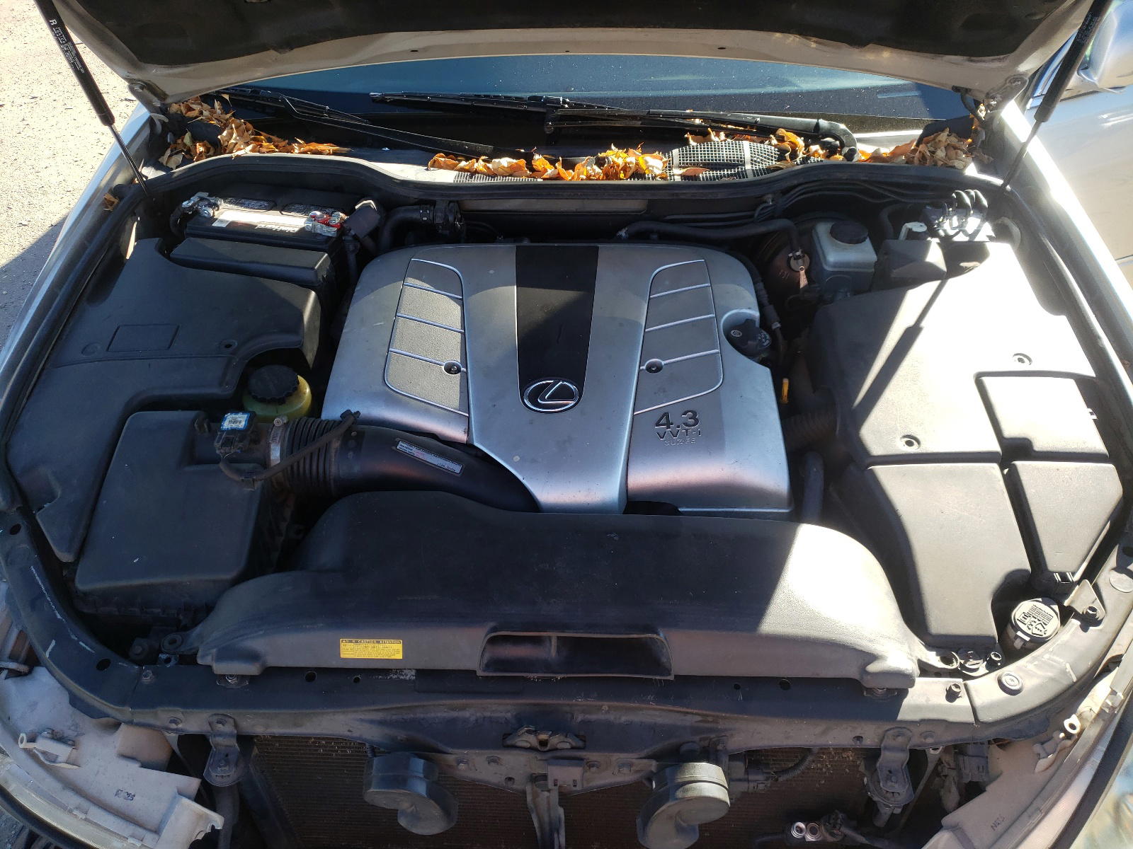 Photo 7 from auction – 2001 LEXUS LS 430 with VIN JTHBN30F310043036