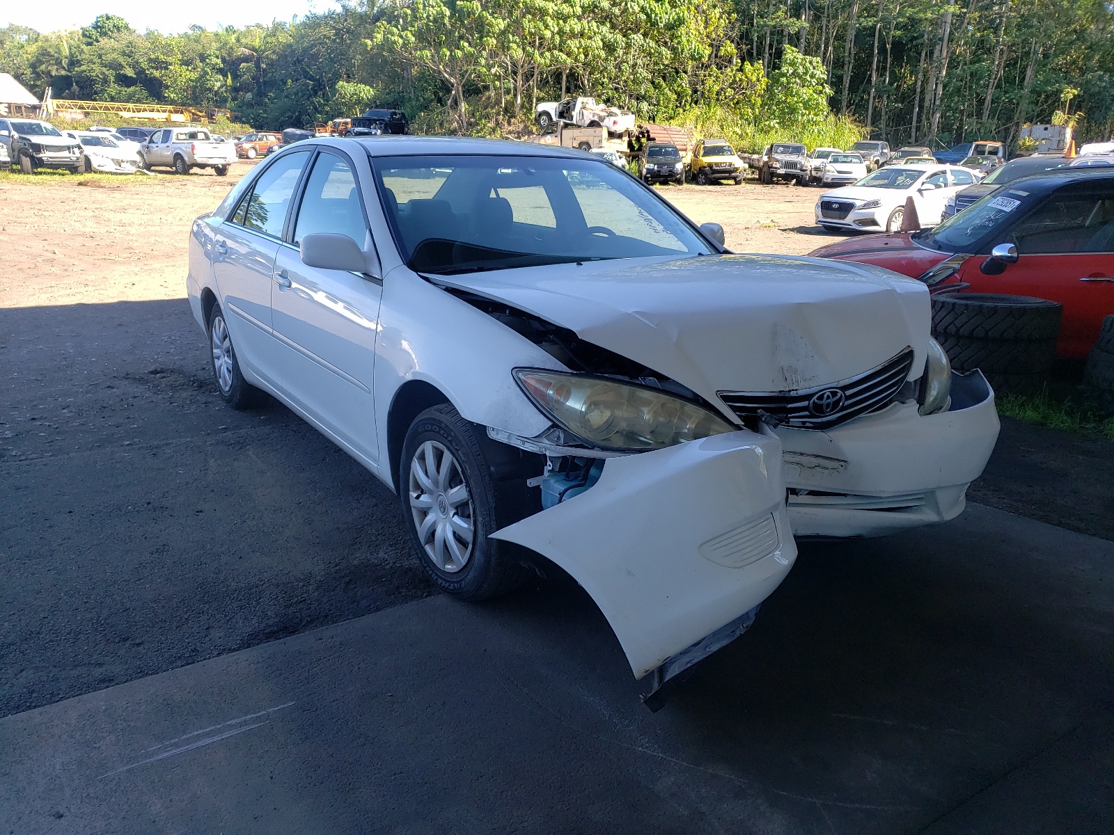 TOYOTA CAMRY LE 2006 with VIN JTDBE32K663059314 - Photo from auction