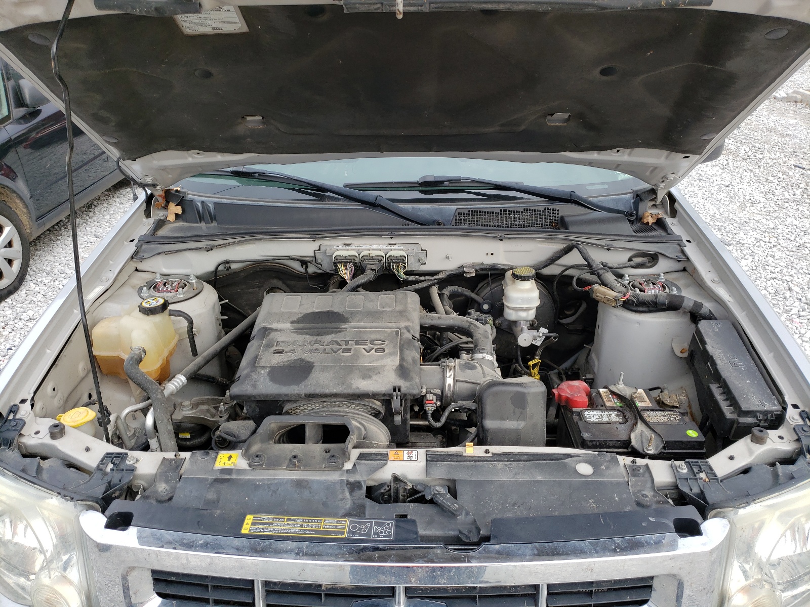 Photo 7 from auction – 2009 FORD ESCAPE XLS with VIN 1FMCU93G39KB78397