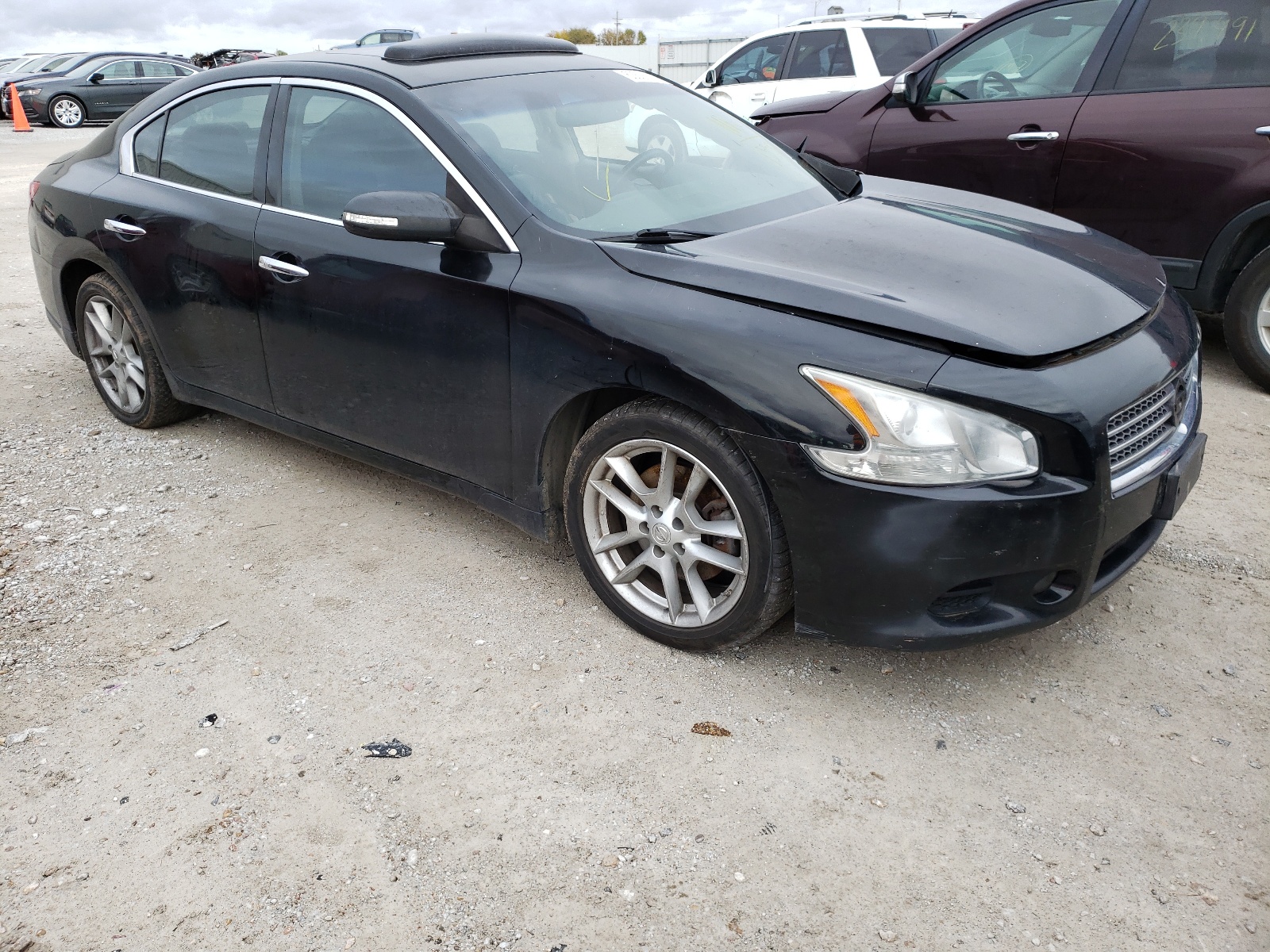 Photo 1 from auction – 2009 NISSAN MAXIMA S with VIN 1N4AA51E69C861550