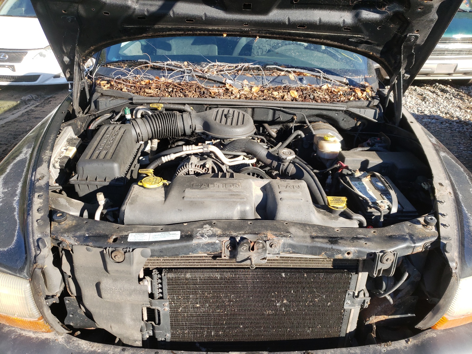 Снимка 7 от търг – 2001 DODGE DAKOTA с VIN 1B7FL26X61S307518