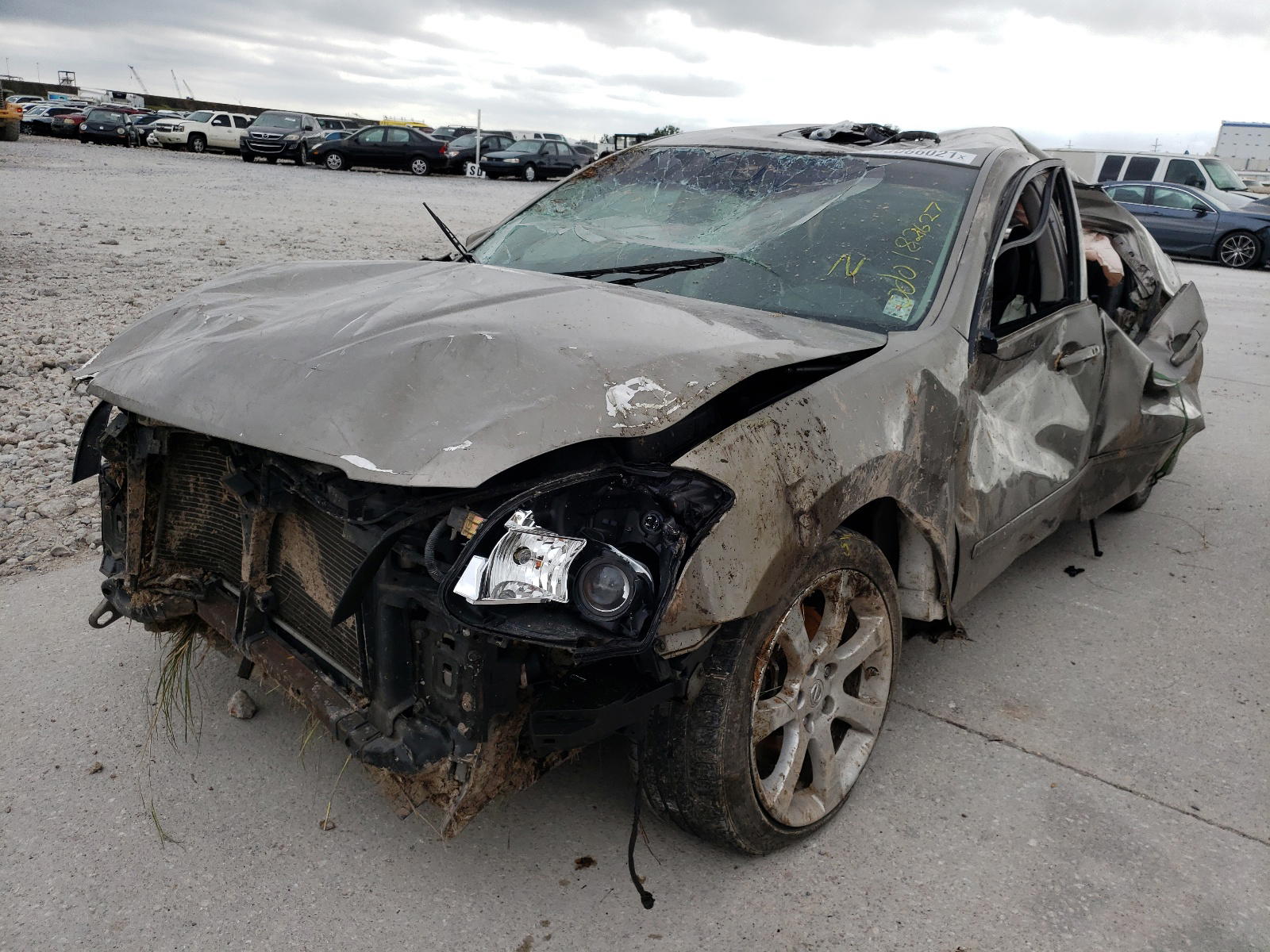 Photo 2 from auction – 2008 NISSAN MAXIMA SE with VIN 1N4BA41EX8C828208