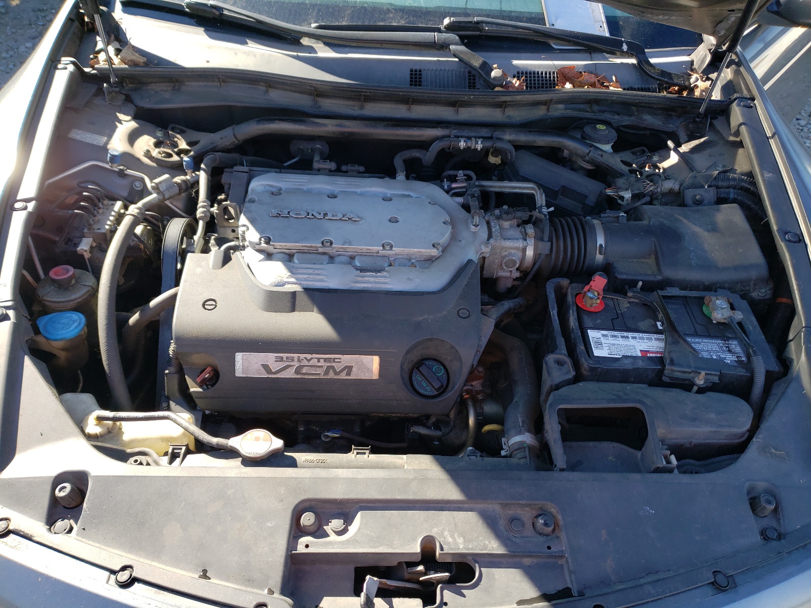 Photo 7 from auction – 2009 HONDA ACCORD EXL with VIN 1HGCS22809A004418