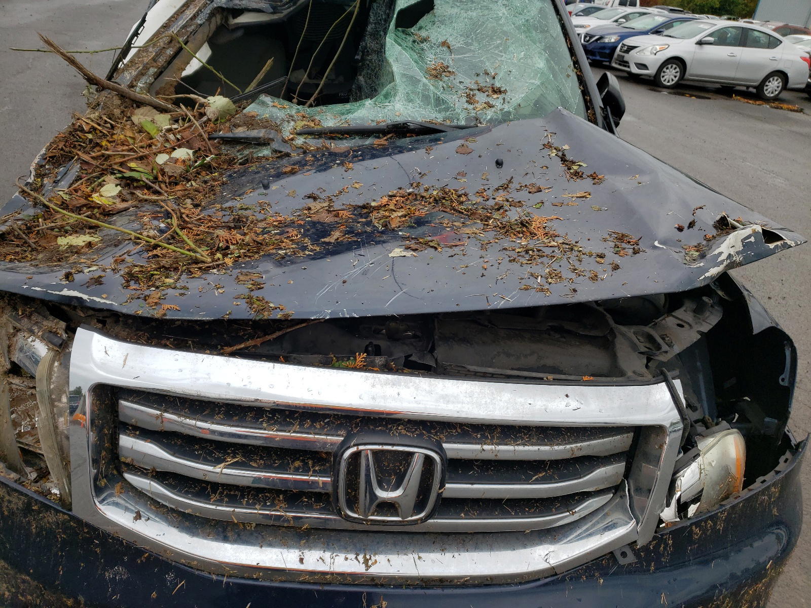 Photo 7 from auction – 2012 HONDA PILOT LX with VIN 5FNYF3H25CB013079