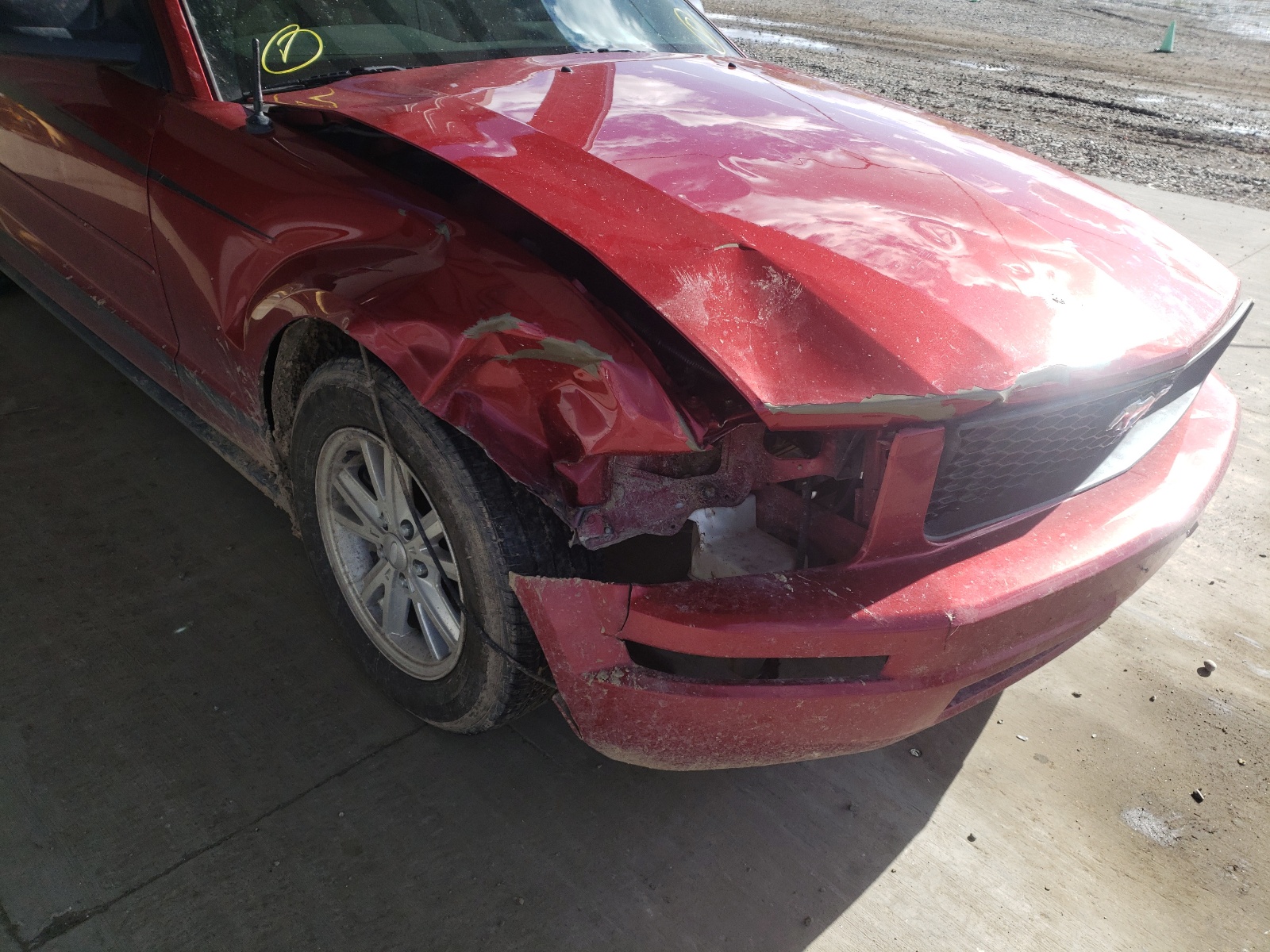 Photo 9 from auction – 2007 FORD MUSTANG with VIN 1ZVFT80N975365430