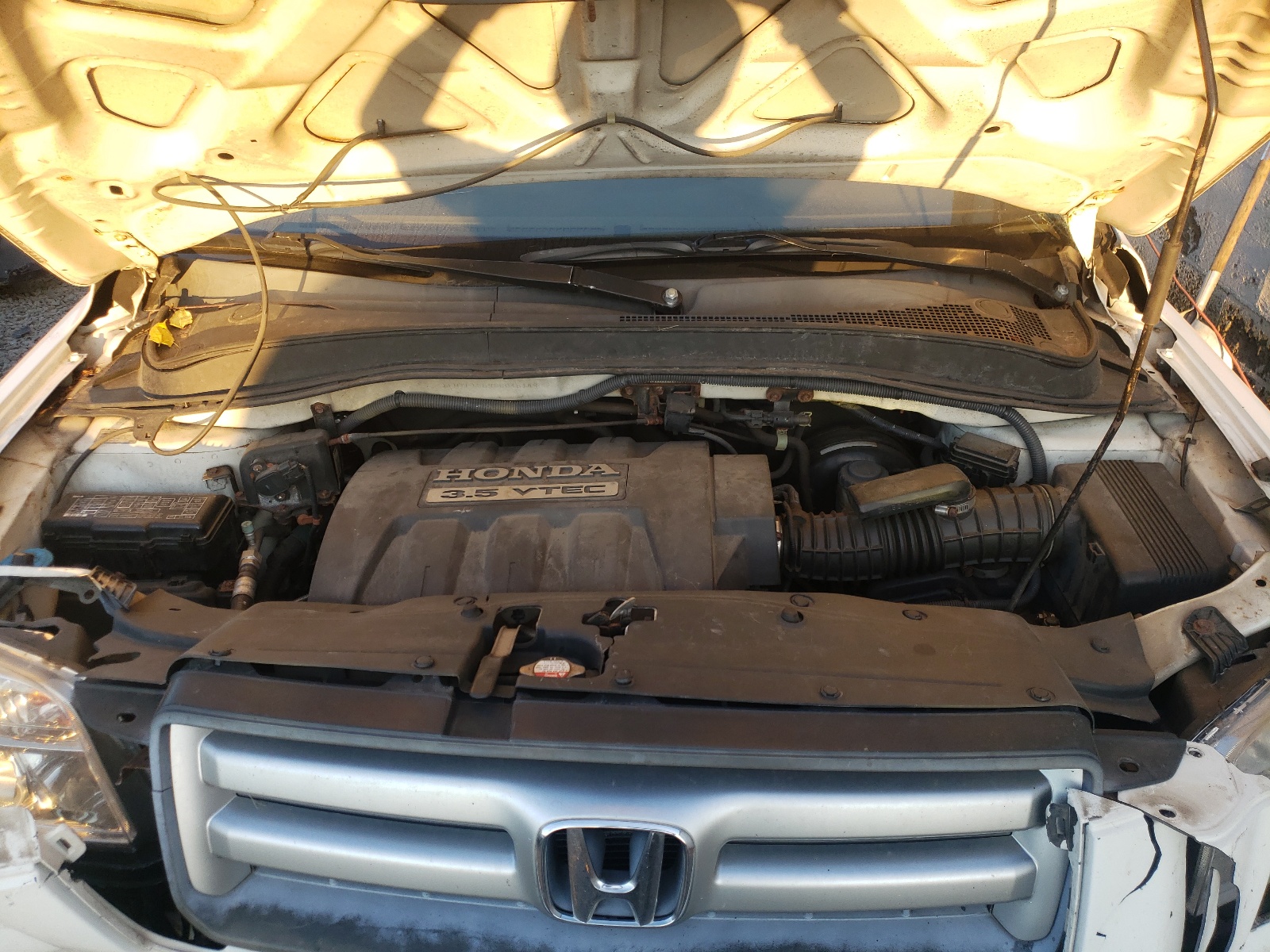 Photo 7 from auction – 2008 HONDA PILOT EXL with VIN 5FNYF18598B045149