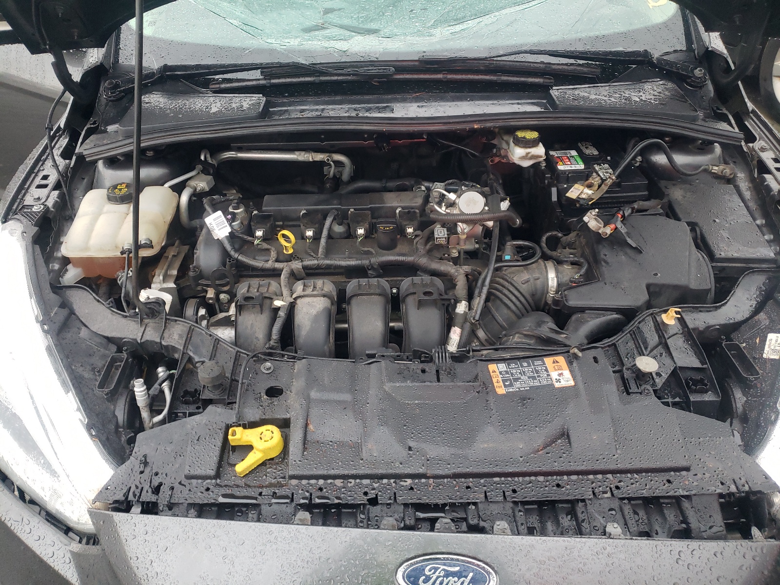 Фото 7 с аукциона – 2017 FORD FOCUS SE с VIN 1FADP3F21HL322377