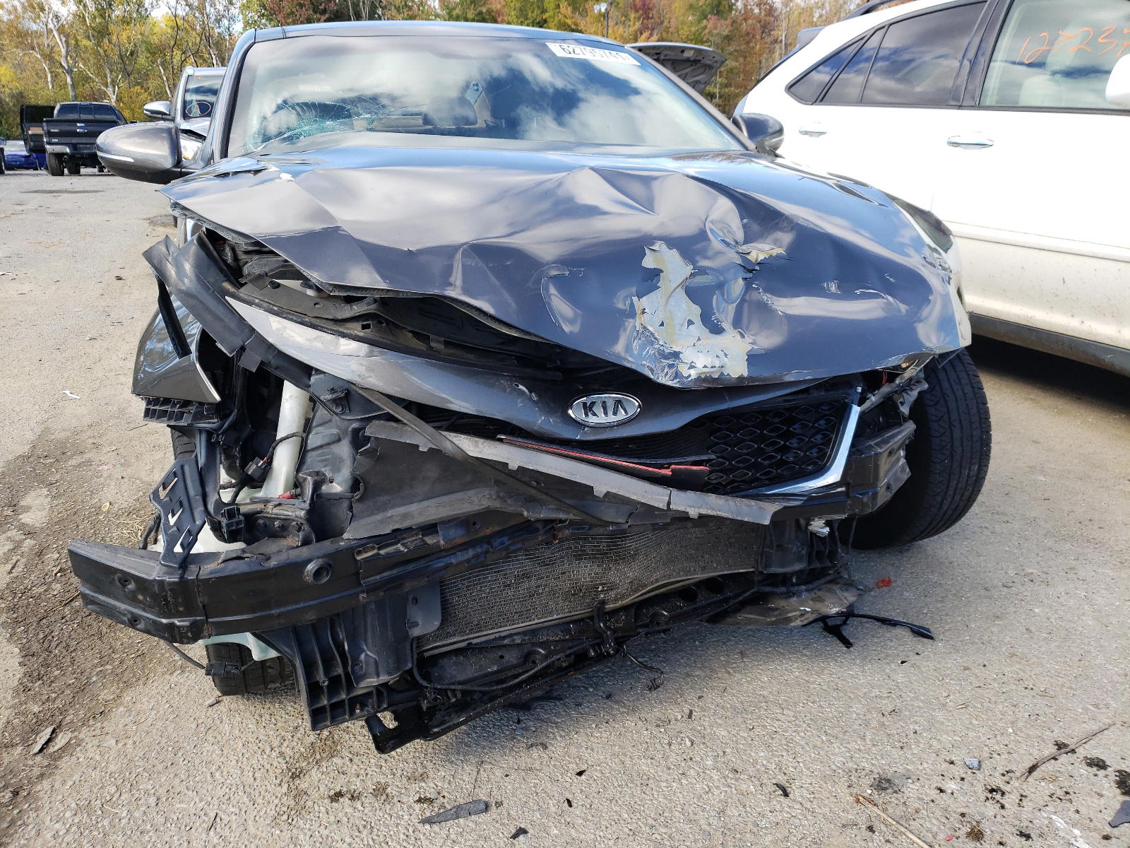 Photo 9 from auction – 2011 KIA OPTIMA EX with VIN KNAGN4A72B5083677