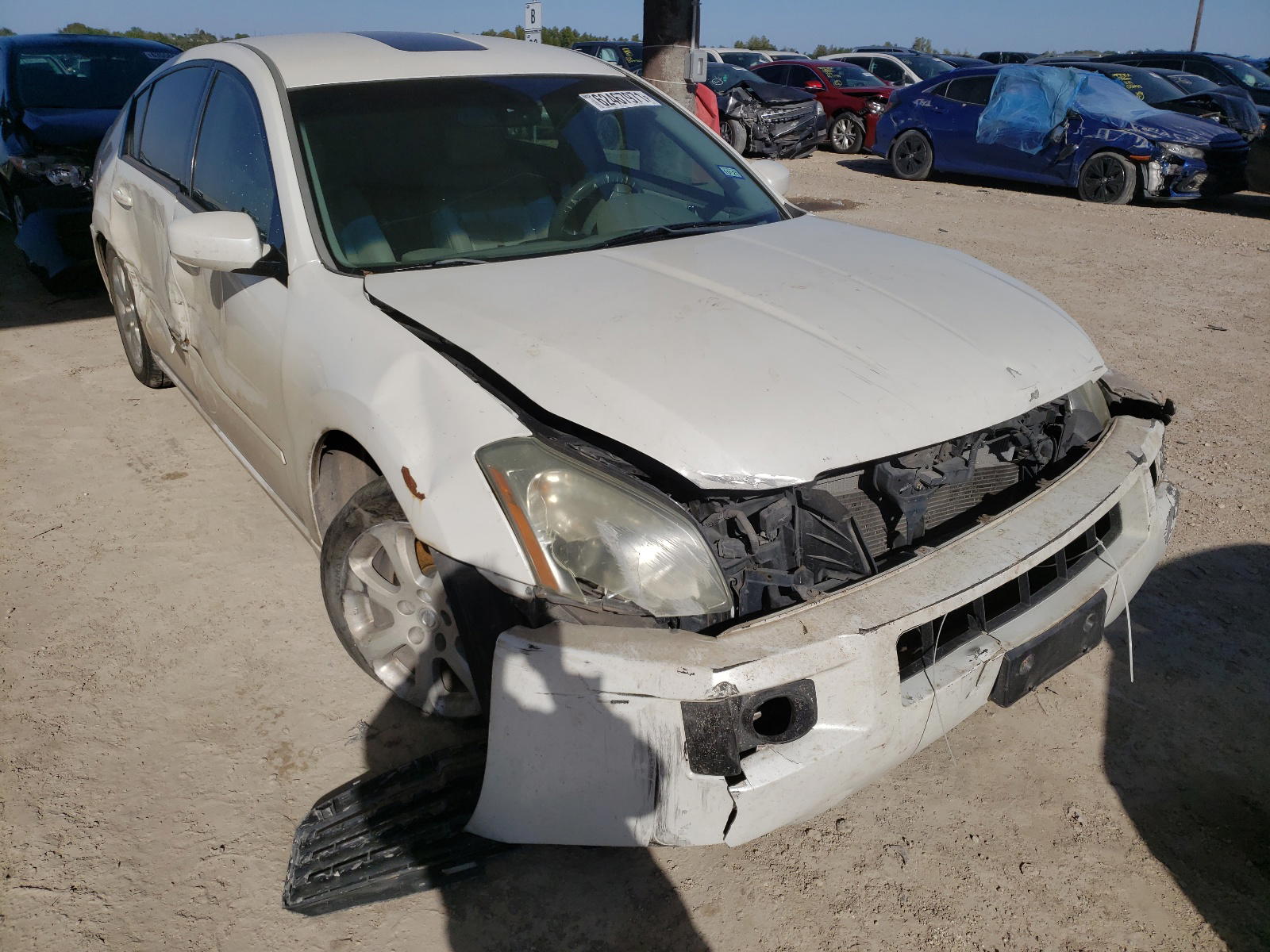NISSAN MAXIMA SE 2008 with VIN 1N4BA41E28C823553 - Photo from auction