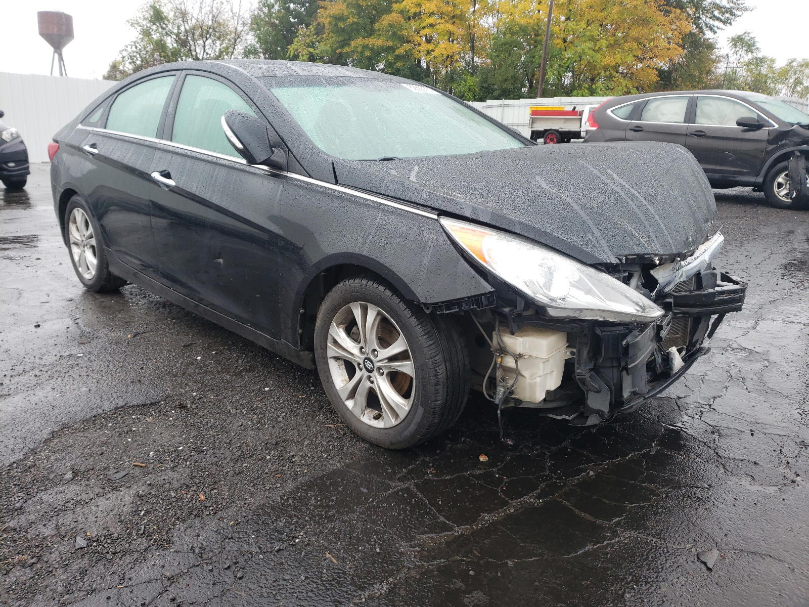 HYUNDAI SONATA SE 2011 with VIN 5NPEC4AC8BH038904 - Photo from auction
