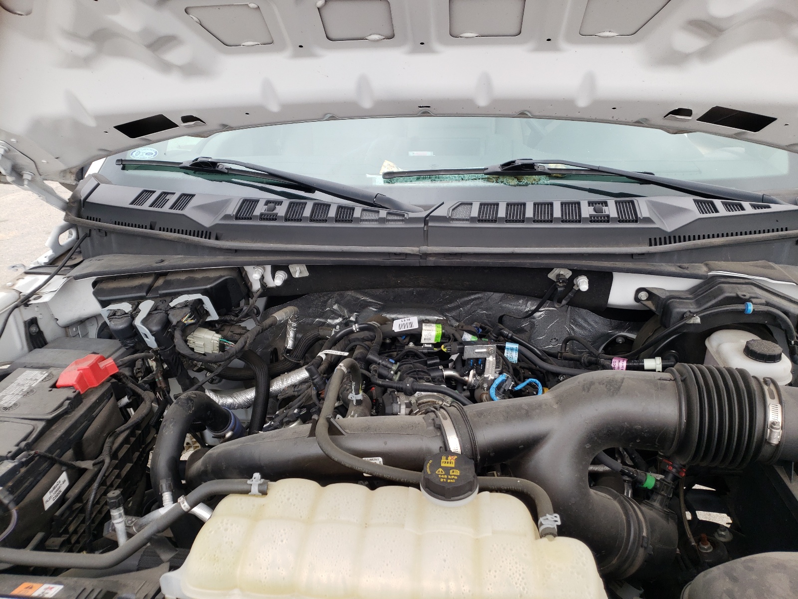 Photo 7 from auction – 2019 FORD F150 SUPER with VIN 1FTEW1EP2KKC83461