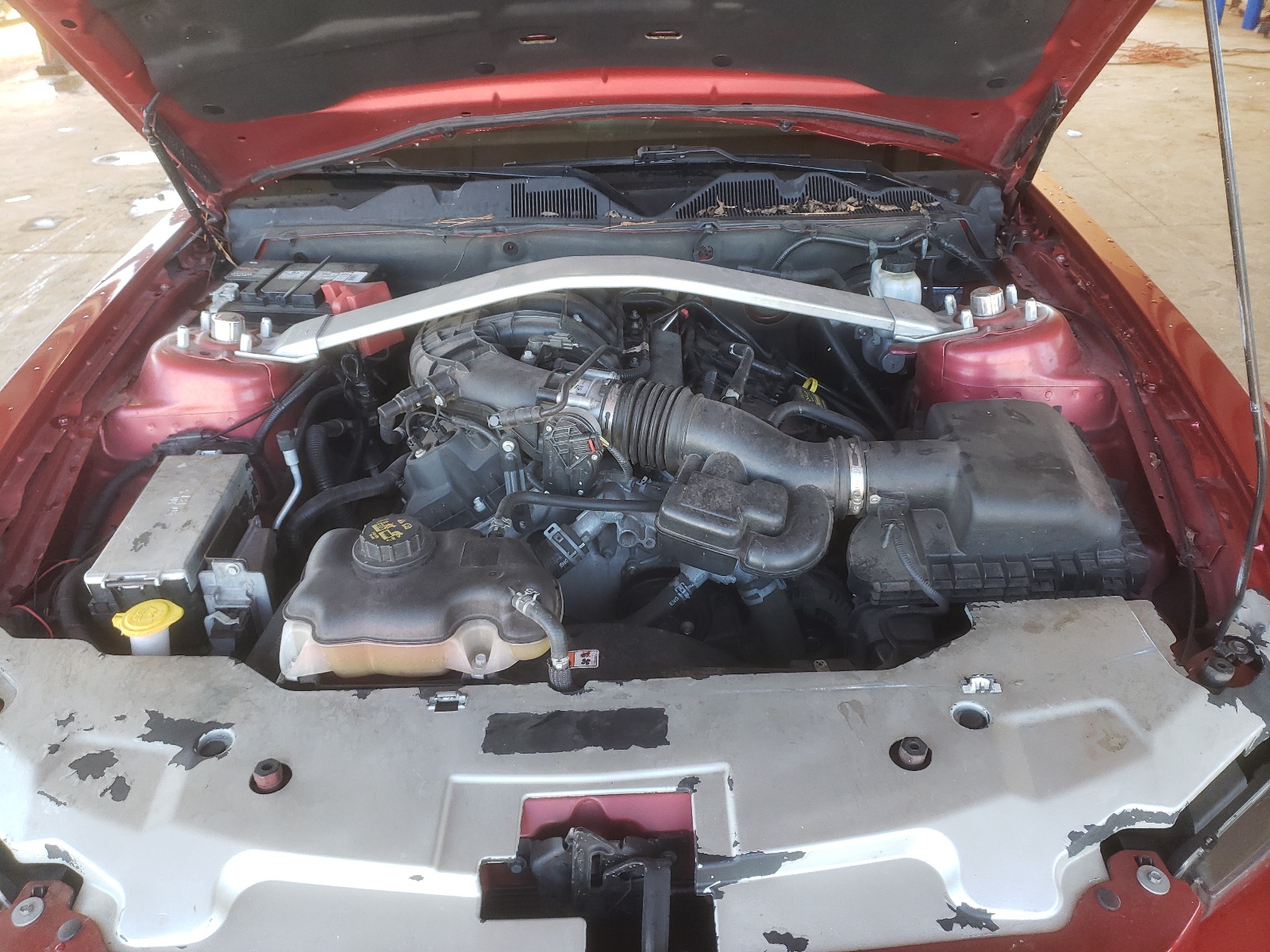 Photo 7 from auction – 2011 FORD MUSTANG with VIN 1ZVBP8EM7B5111324