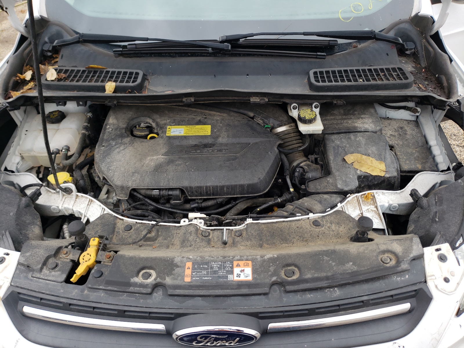 Photo 7 from auction – 2014 FORD ESCAPE SE with VIN 1FMCU9GX7EUC02631