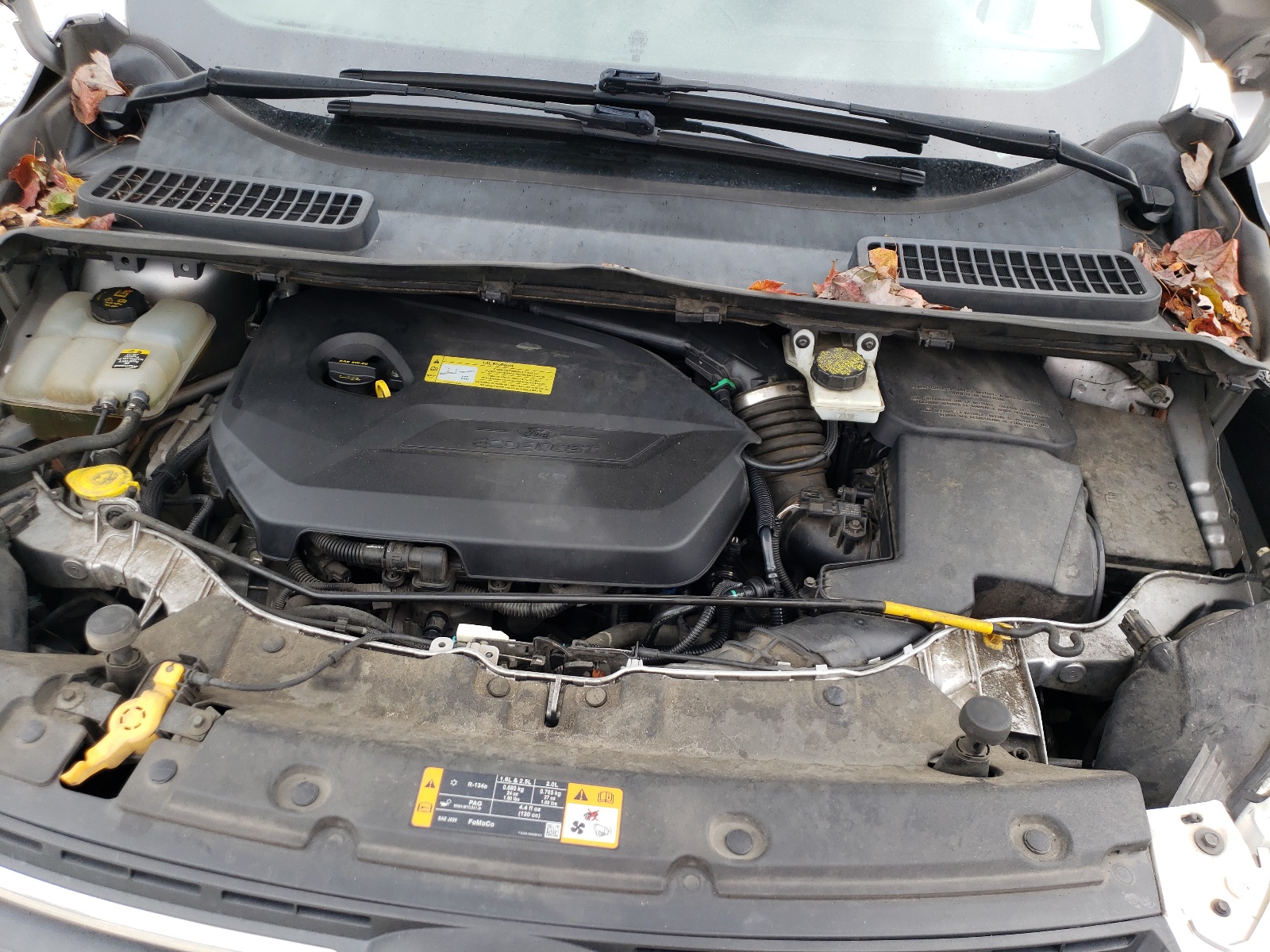 Photo 7 from auction – 2013 FORD ESCAPE SE with VIN 1FMCU0GX4DUB72191