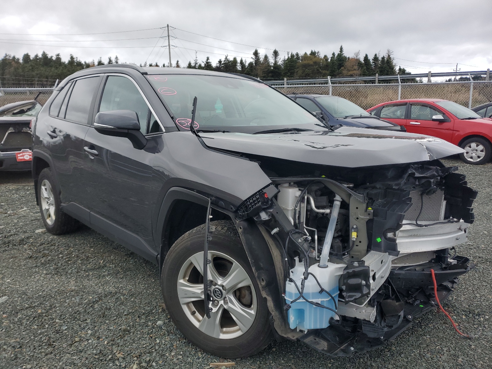 TOYOTA RAV4 LE 2019 with VIN 2T3B1RFV2KW045761 - Photo from auction