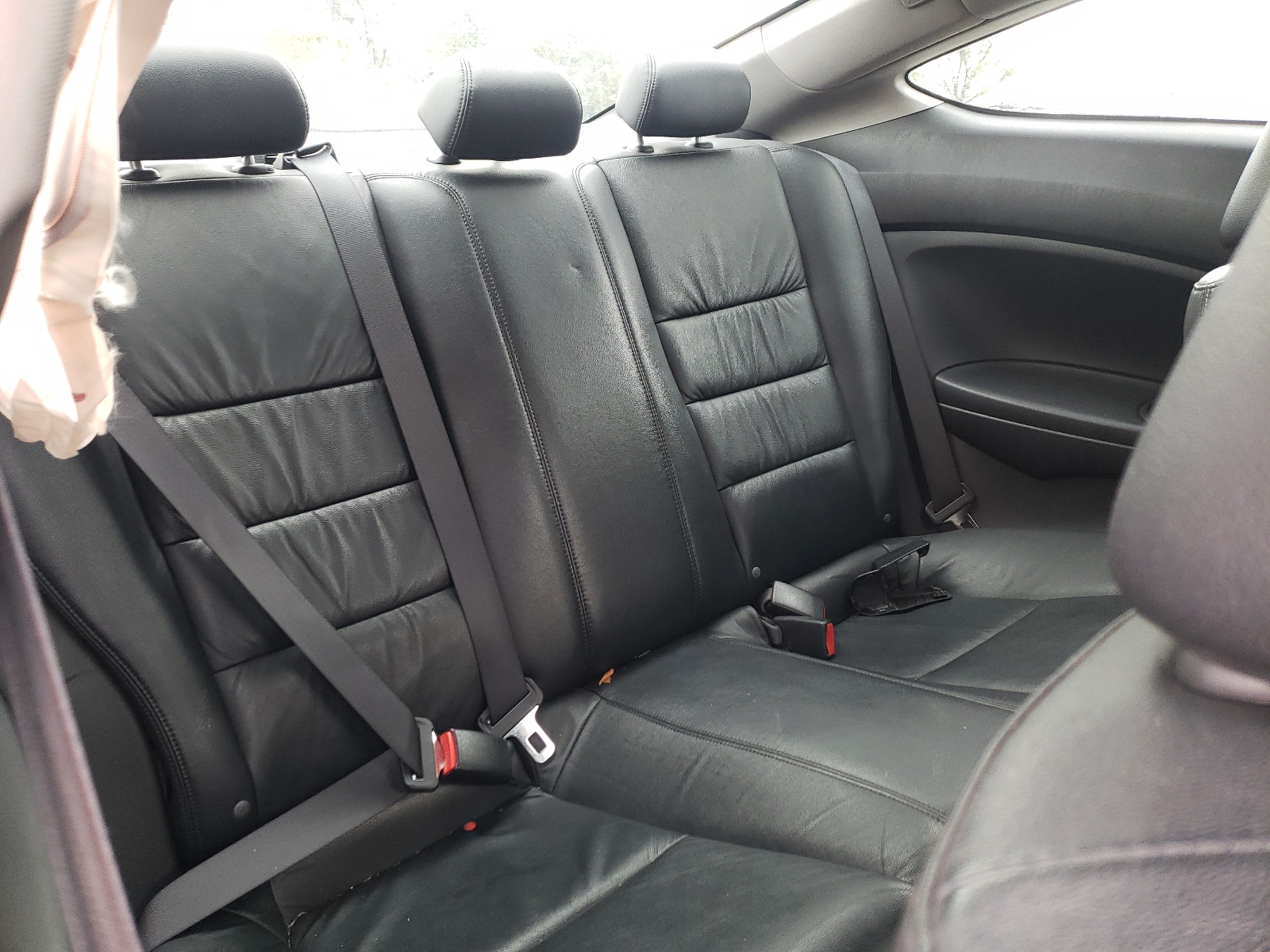 Photo 6 from auction – 2010 HONDA ACCORD EXL with VIN 1HGCS2B81AA001399