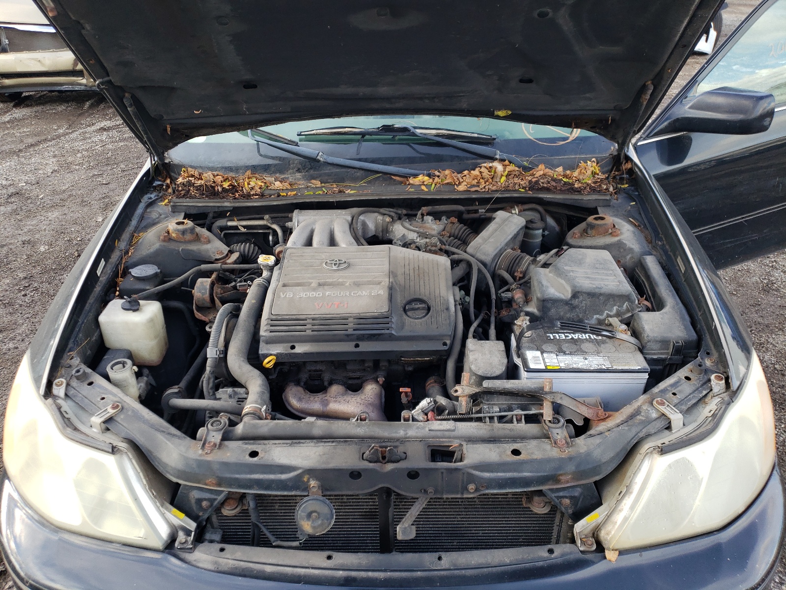 Photo 7 from auction – 2003 TOYOTA AVALON XL with VIN 4T1BF28B43U299851
