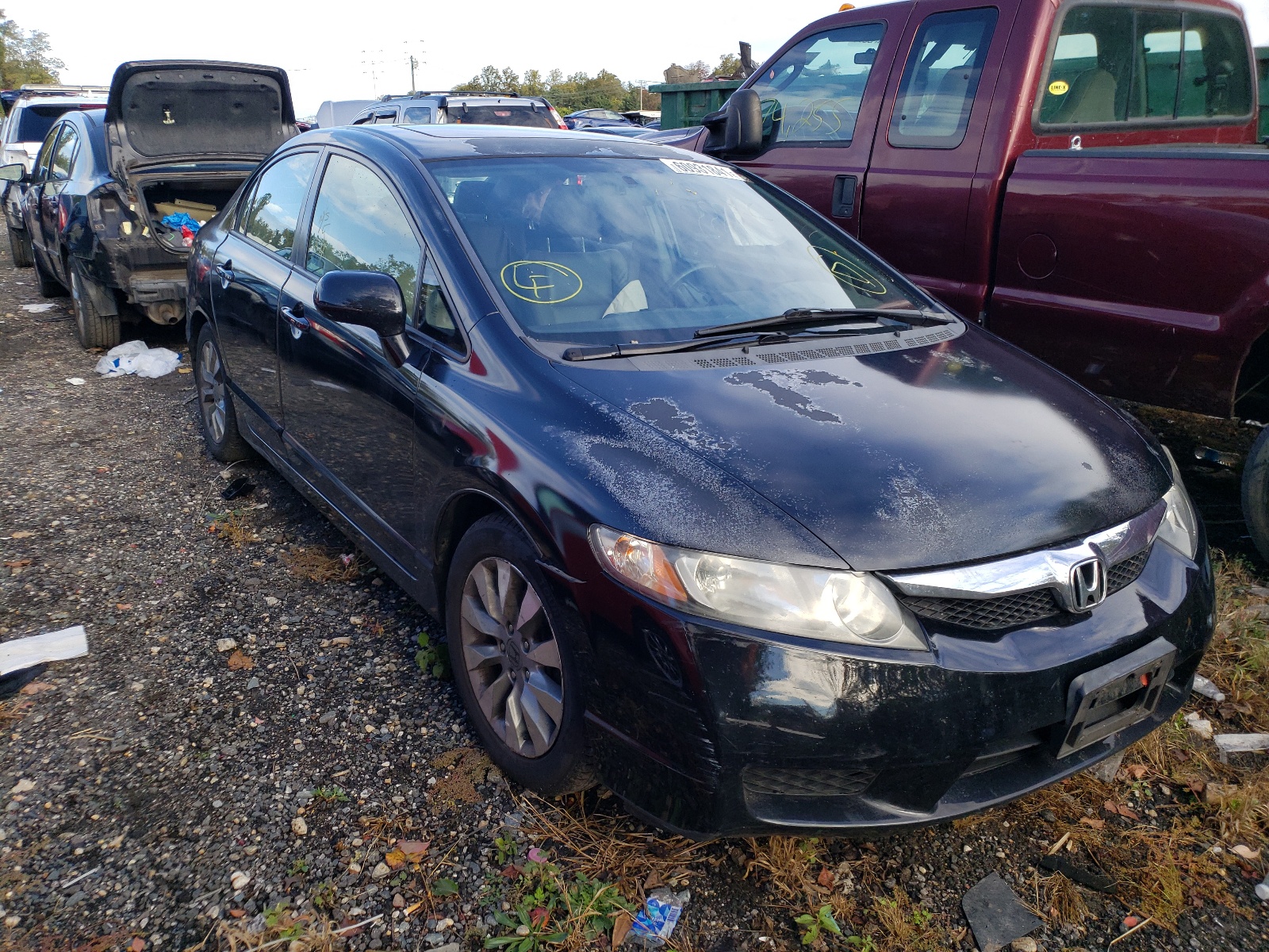 HONDA CIVIC EXL 2009 with VIN 2HGFA16909H529929 - Photo from auction