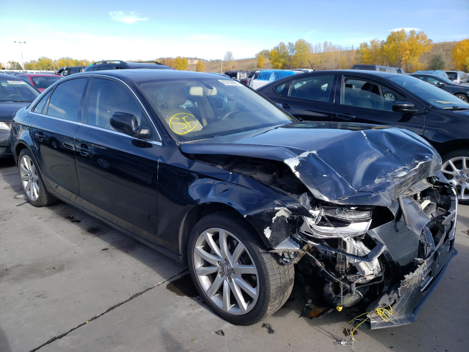 AUDI A4 PREMIUM 2013 with VIN WAUFFAFL9DN035948 - Photo from auction