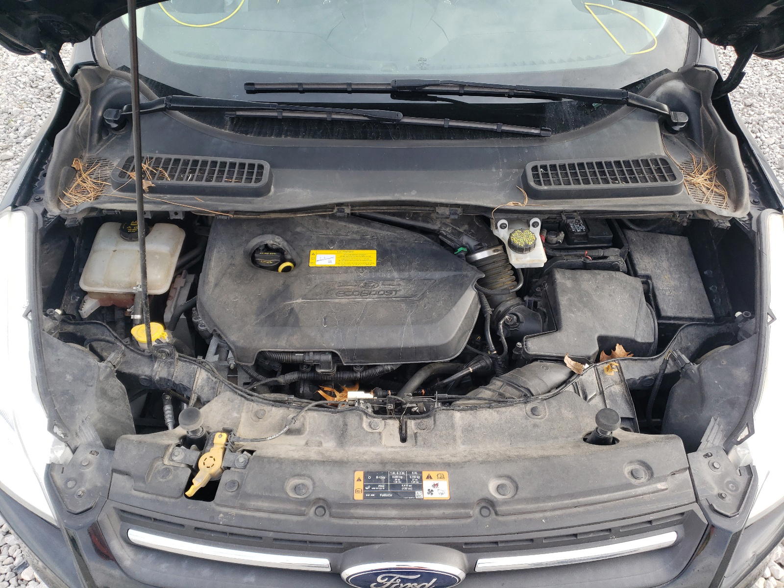 Photo 7 from auction – 2016 FORD ESCAPE SE with VIN 1FMCU0GX2GUB59072