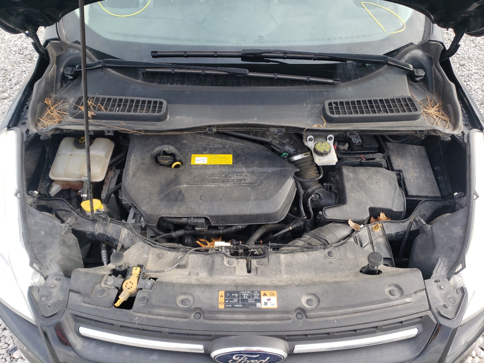 Zdjęcie 7 z aukcji – 2016 FORD ESCAPE SE z VIN 1FMCU0GX2GUB59072