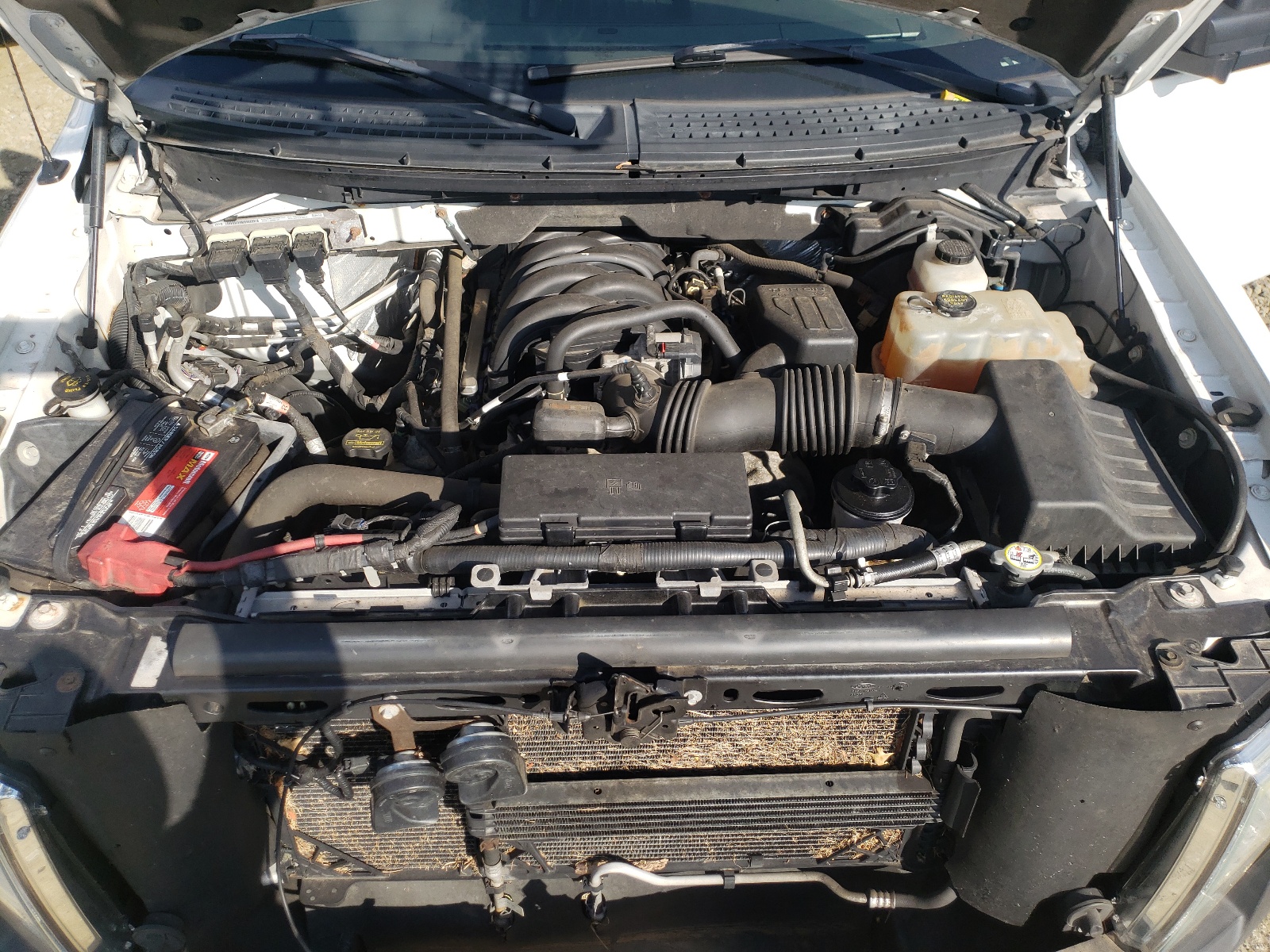 Photo 7 from auction – 2010 FORD F150 SUPER with VIN 1FTFW1E87AKE40915
