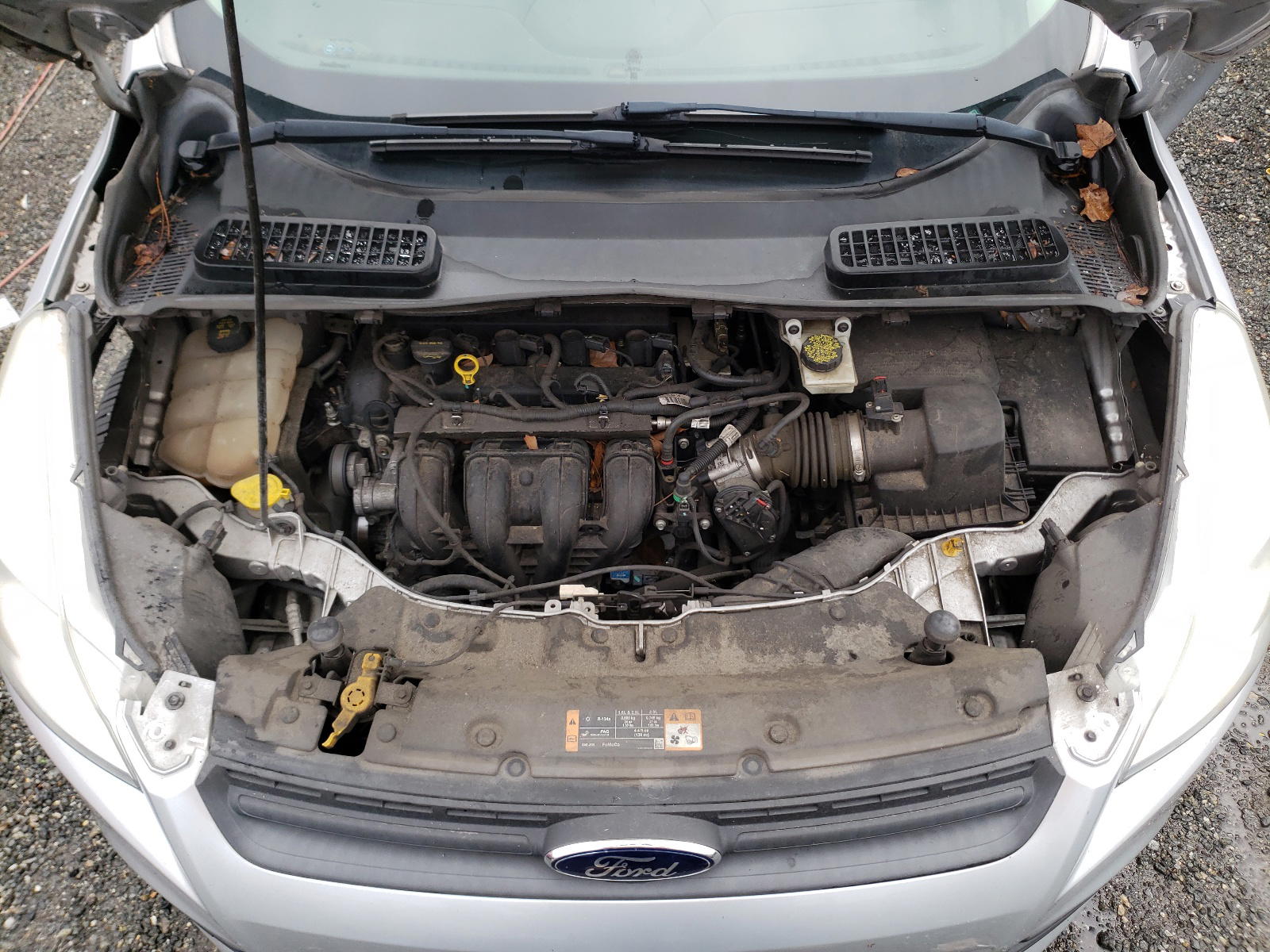 Photo 7 from auction – 2014 FORD ESCAPE S with VIN 1FMCU0F79EUB61836
