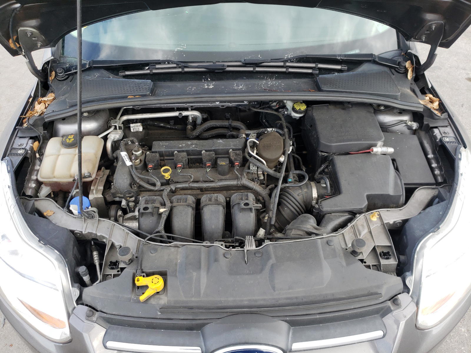 Photo 7 from auction – 2014 FORD FOCUS SE with VIN 1FADP3F2XEL407844